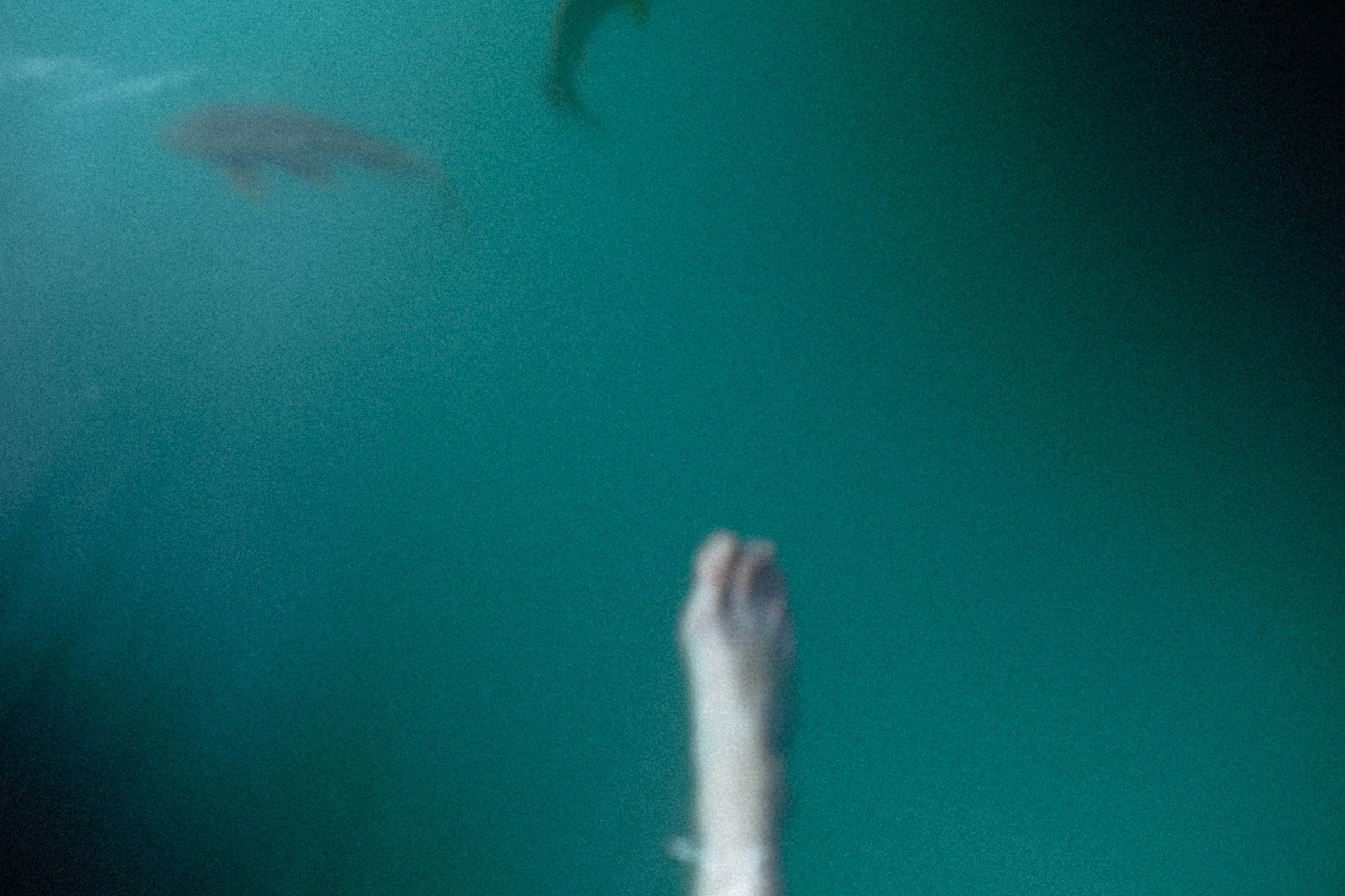 Stills from a Movie That Never Existed — Conceptual Photography by Marina Kálcheva. Marina Kálcheva — Photographer, Videographer & Visual Artist in Barcelona