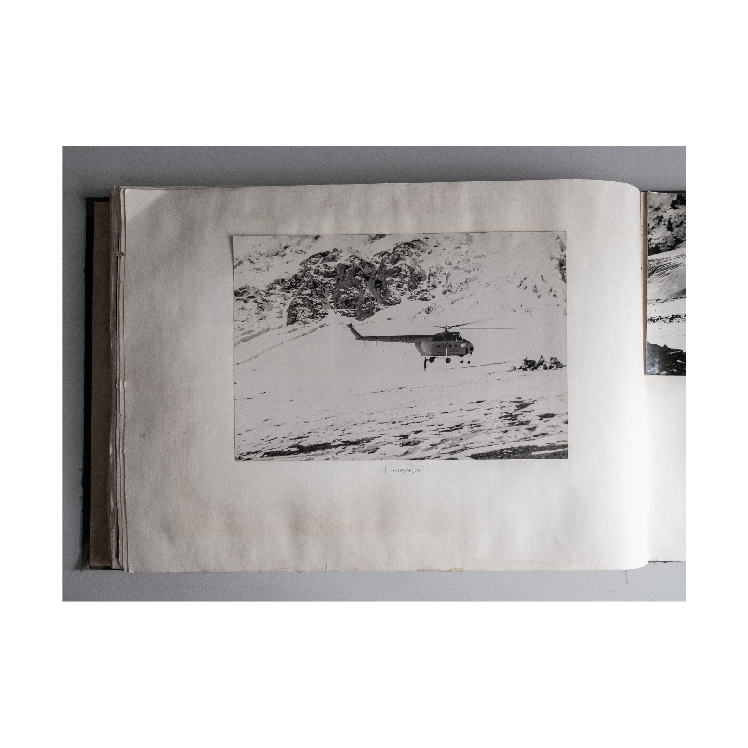 Willingness to freeze. Nelly Elagina