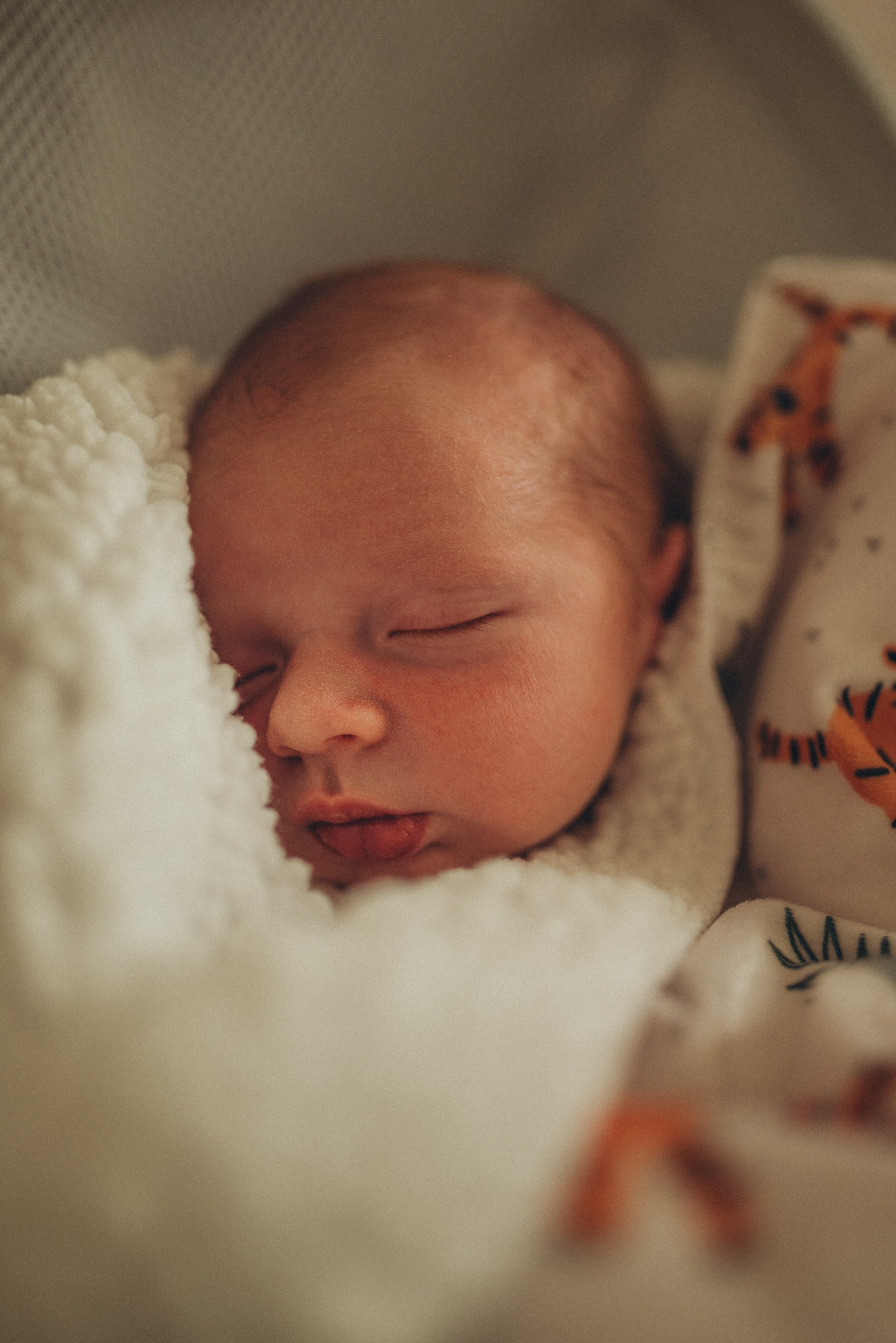 closeup newborn baby boy
