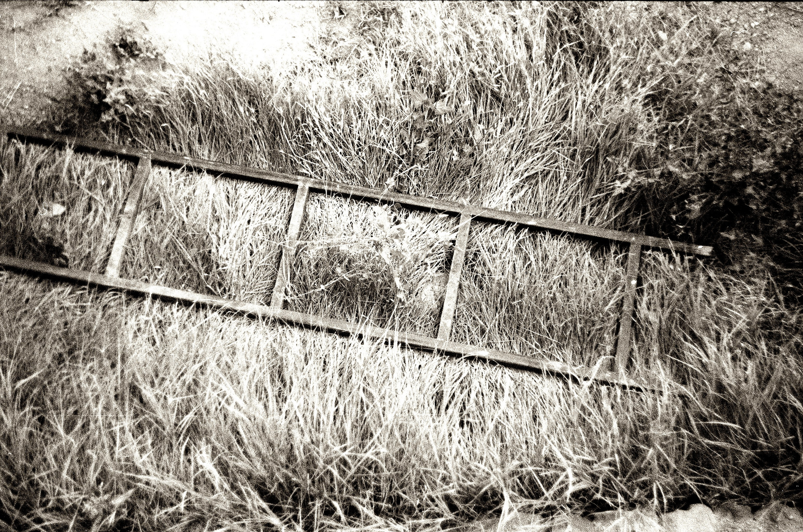 Arman Milani, Brand-Focused Video Production & Content Creation, Based in Berlin