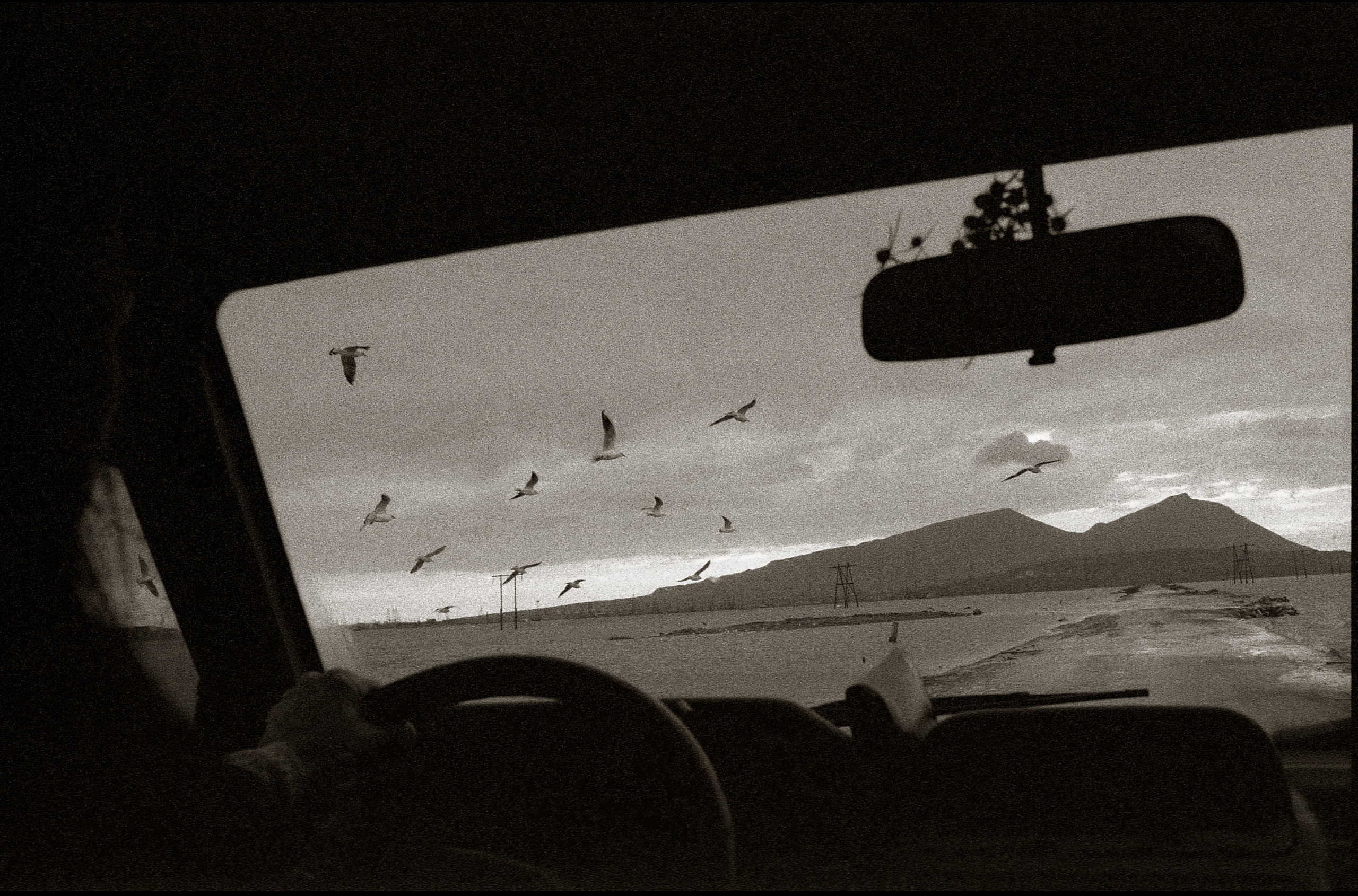 FIELD OF THE MASTER. Www.sananaleskerov.com