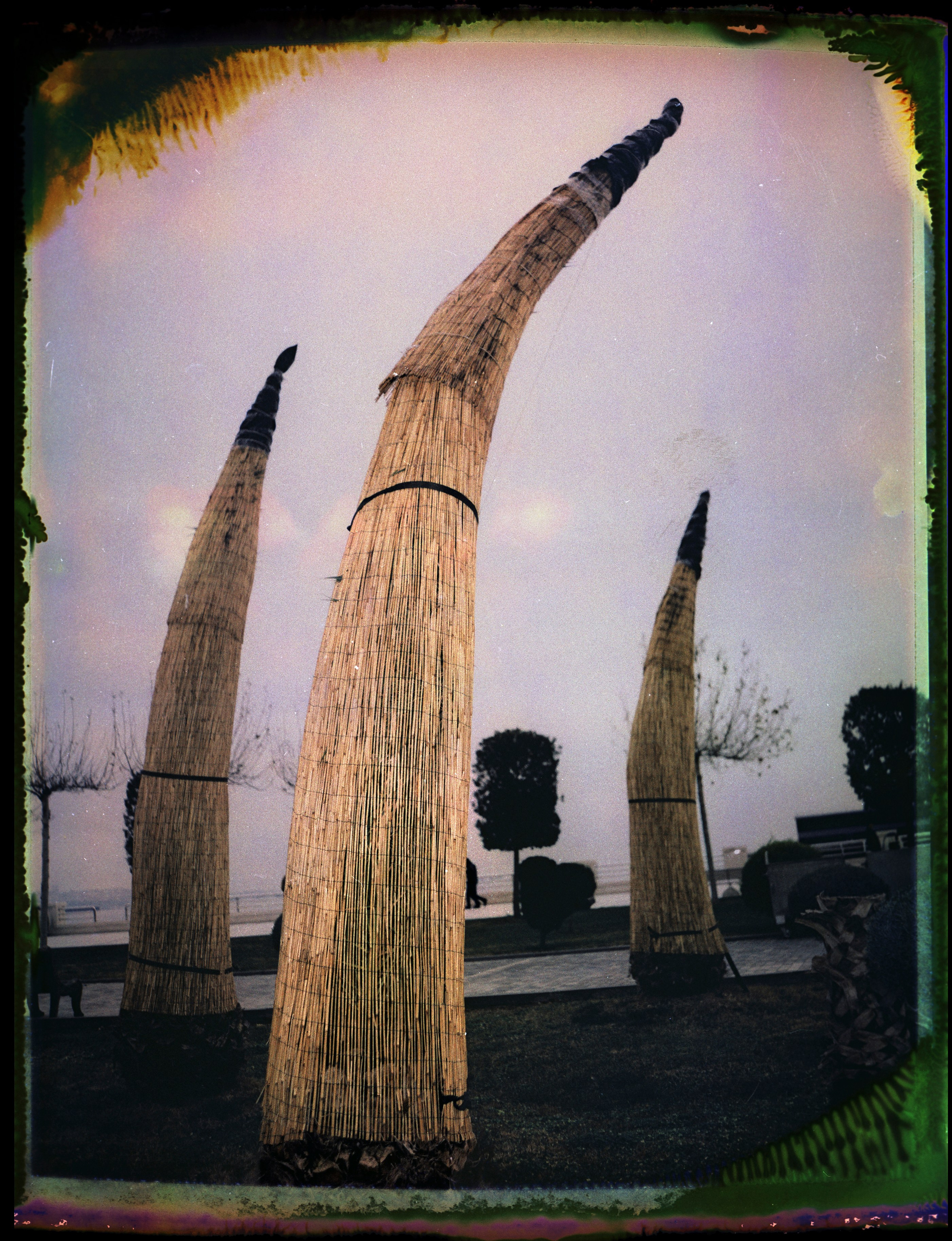 POLAROID. Www.sananaleskerov.com