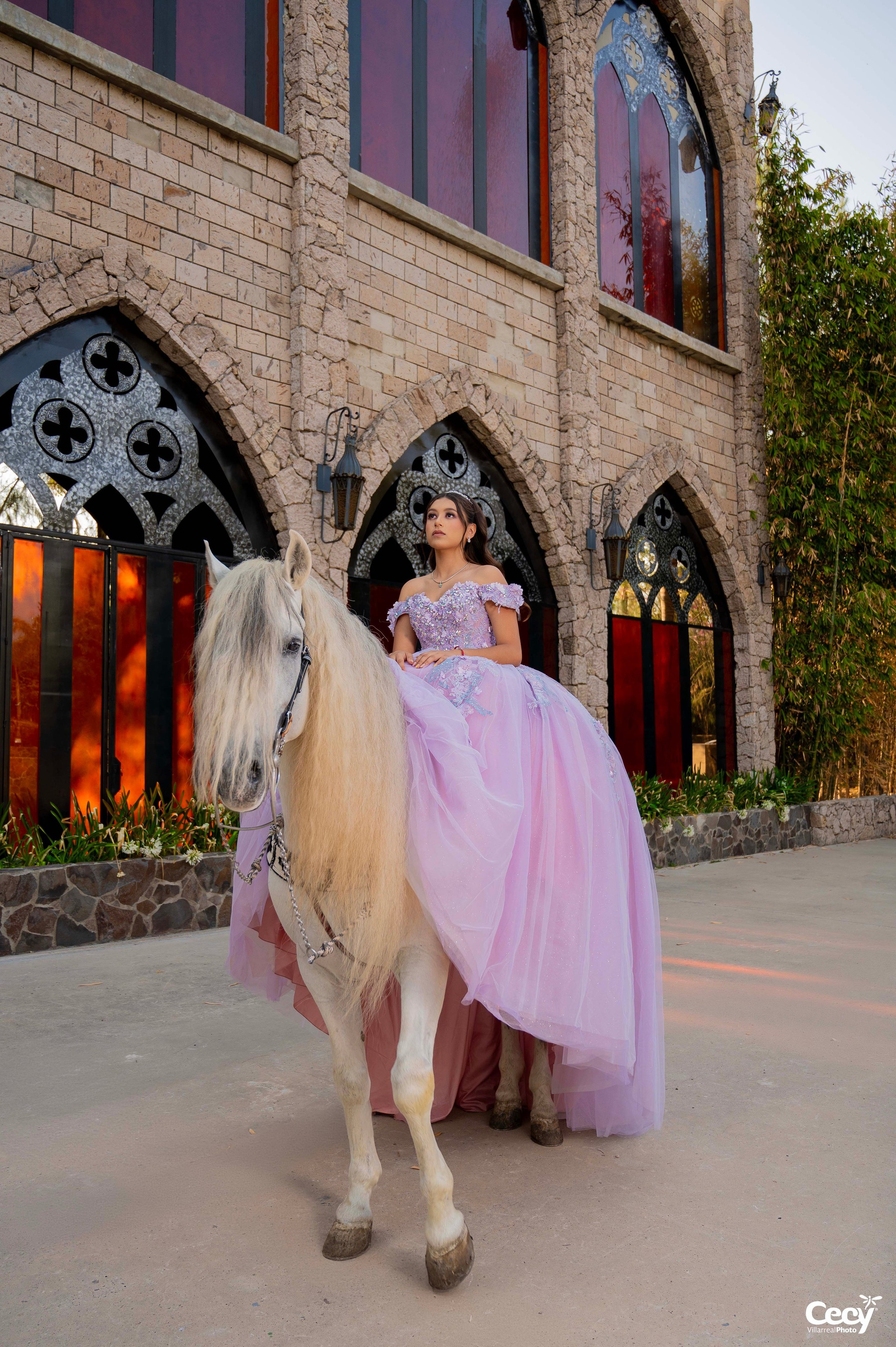 Cecy Villarreal Photo