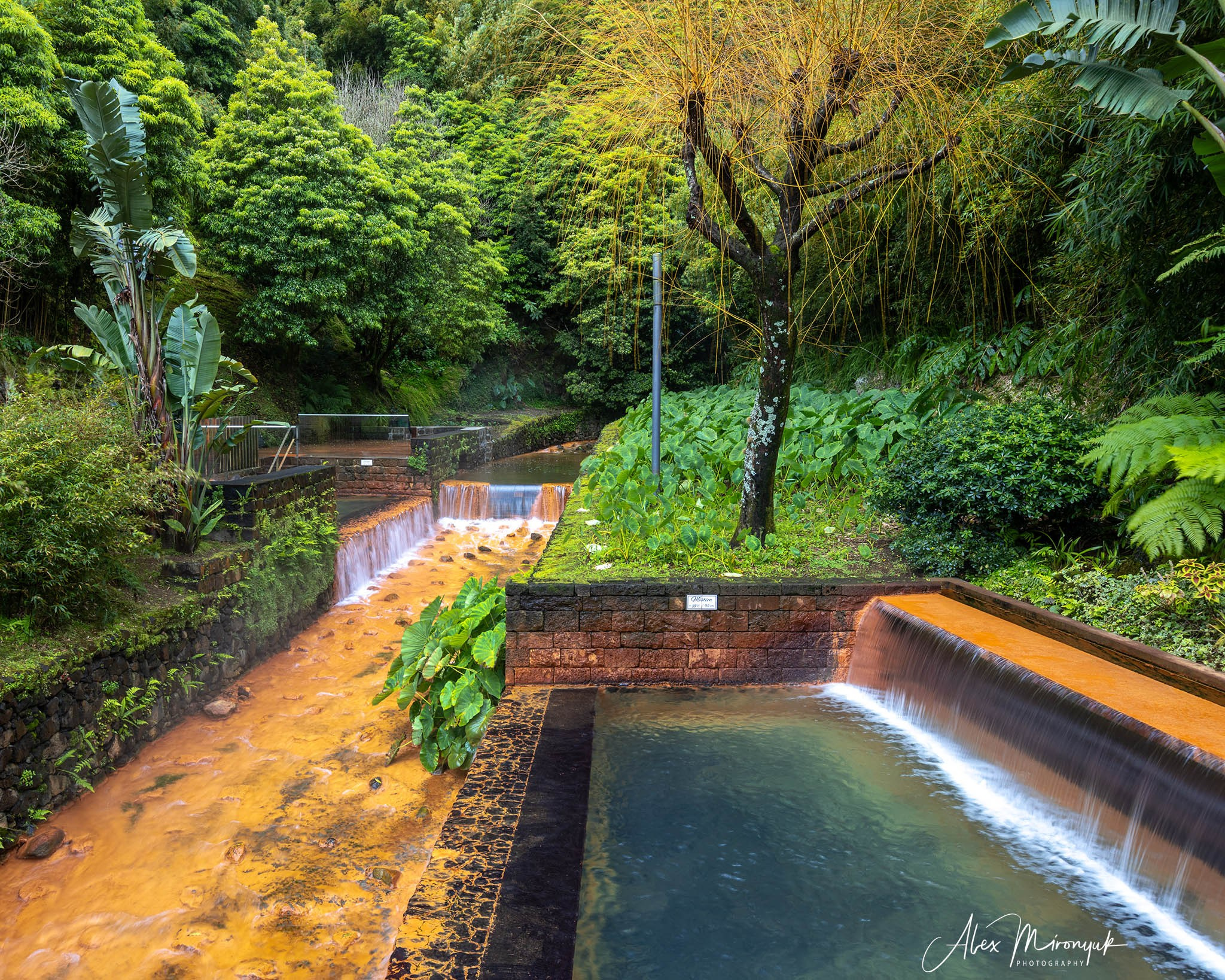 Azores And Madeira. Alex Mironyuk Photography