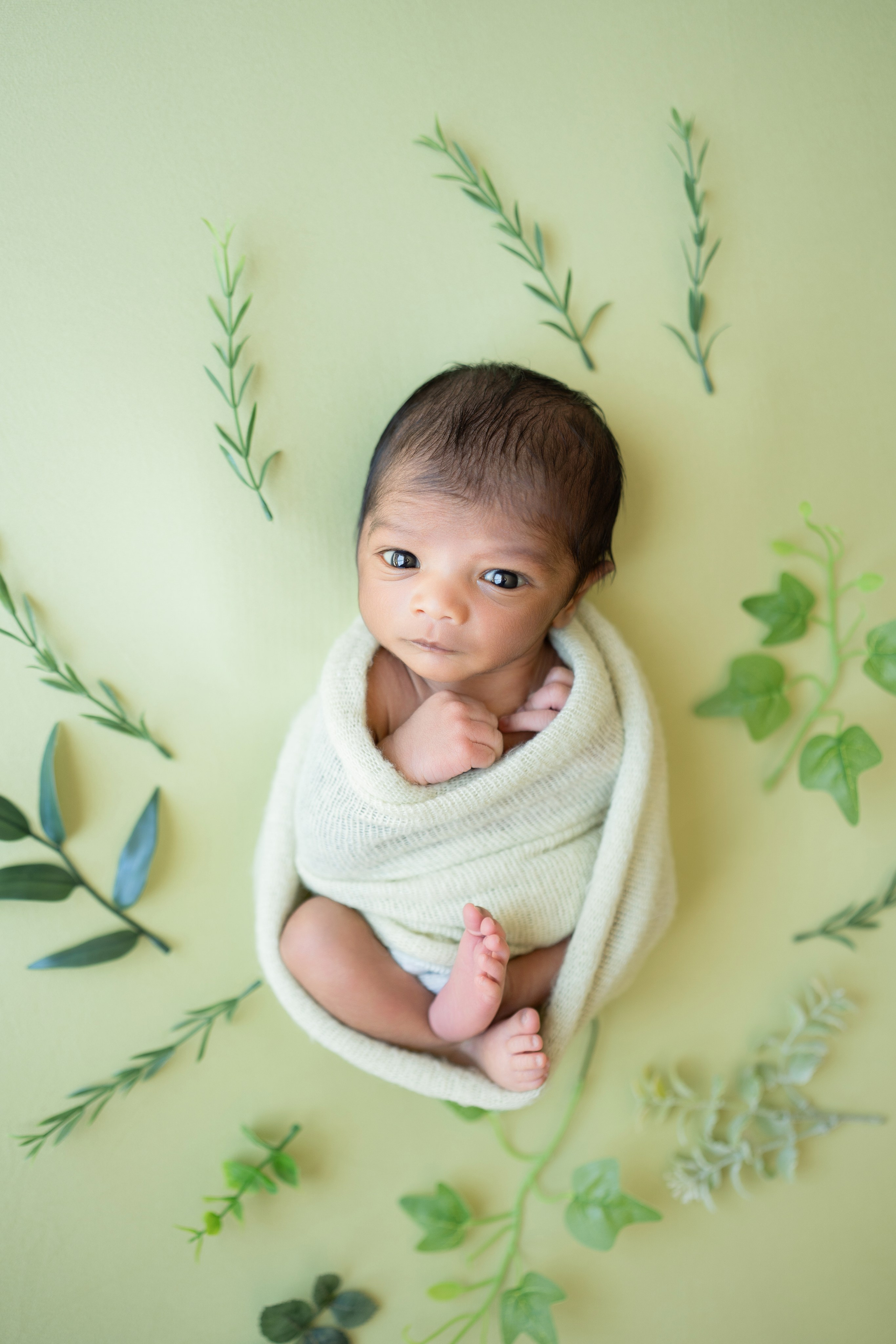 Posed Newborn. Maternity, family and newborn photography in San Francisco Bay Area