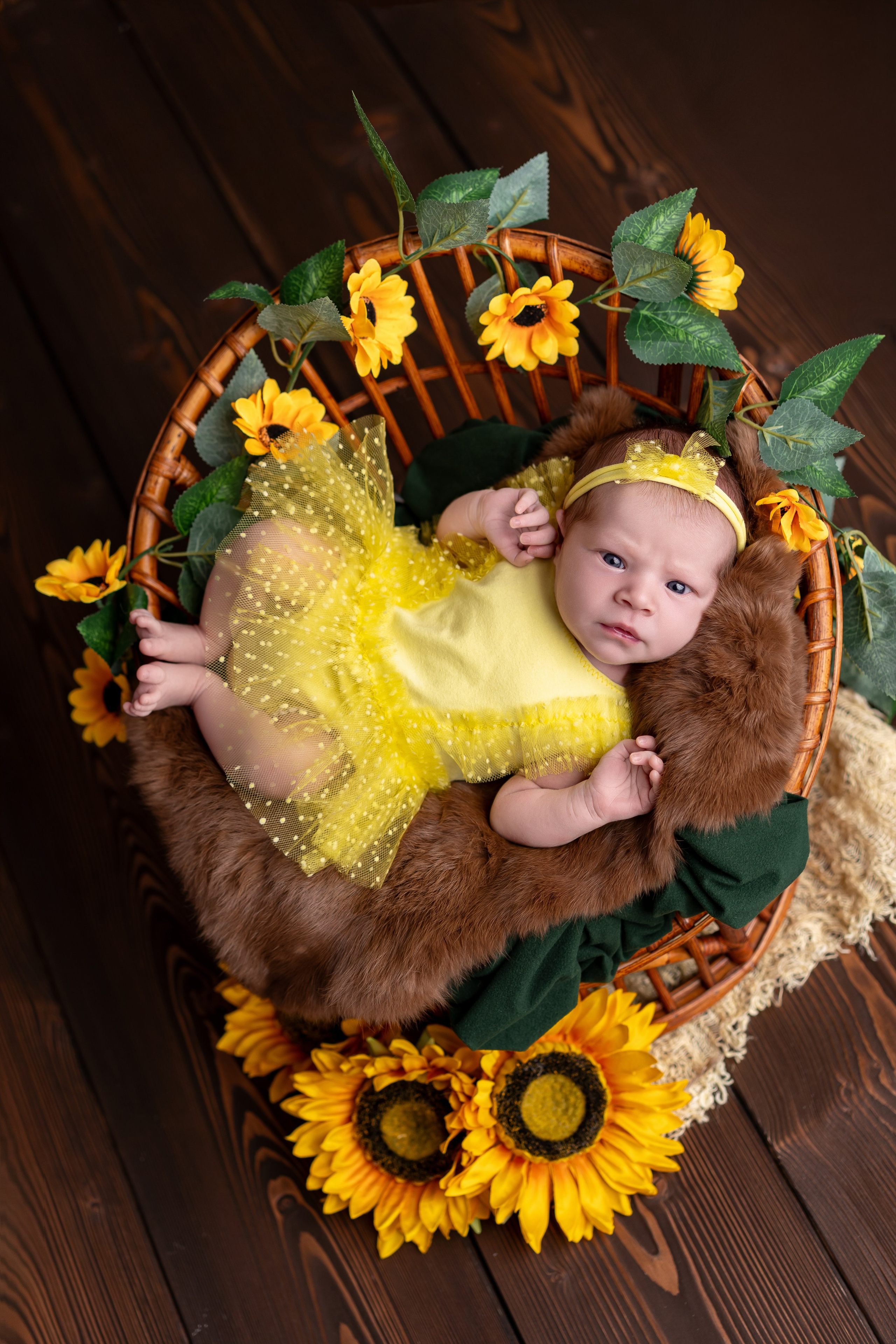 Neugeborenenfotos in Berlin – Studio oder bei Ihnen zu Hause