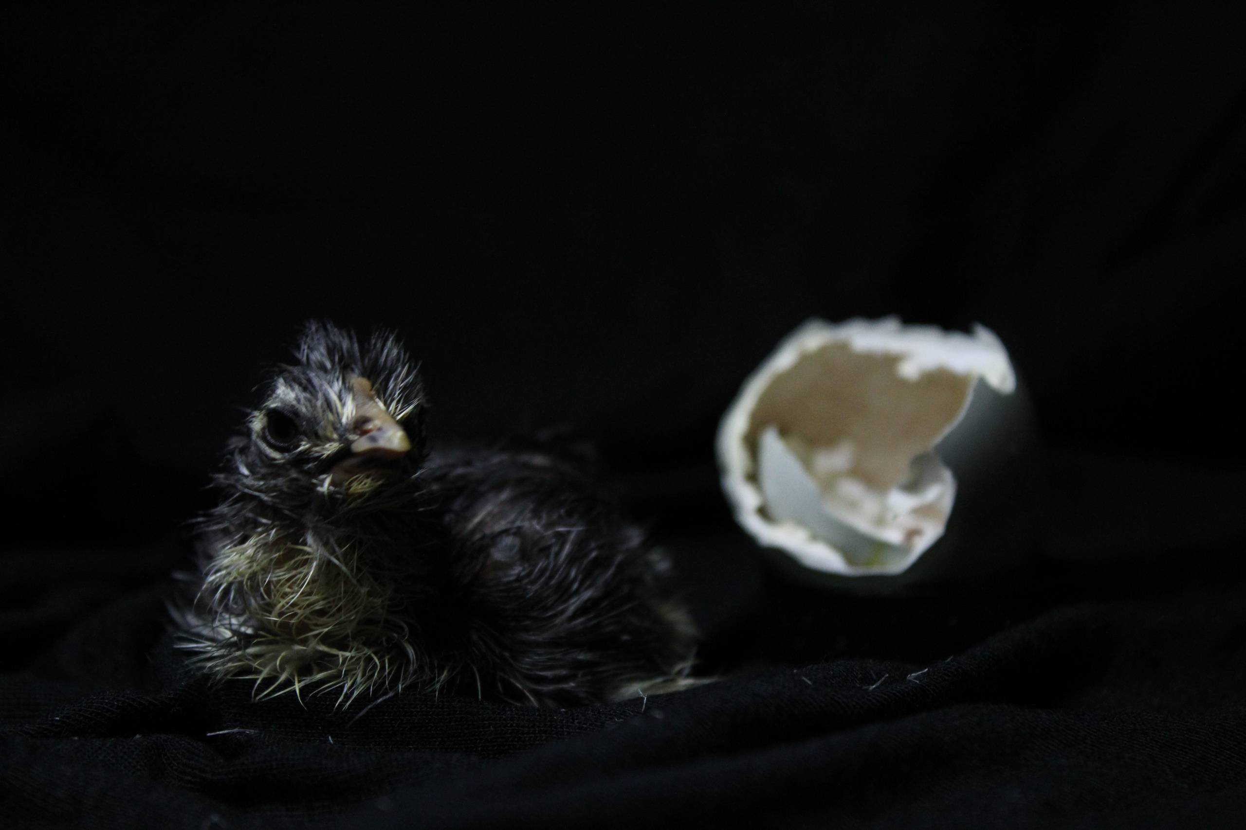 Dopo la pioggia, arriva il sole. Stanislava Novgorodtseva — Photographer | Visual Artist | Educator