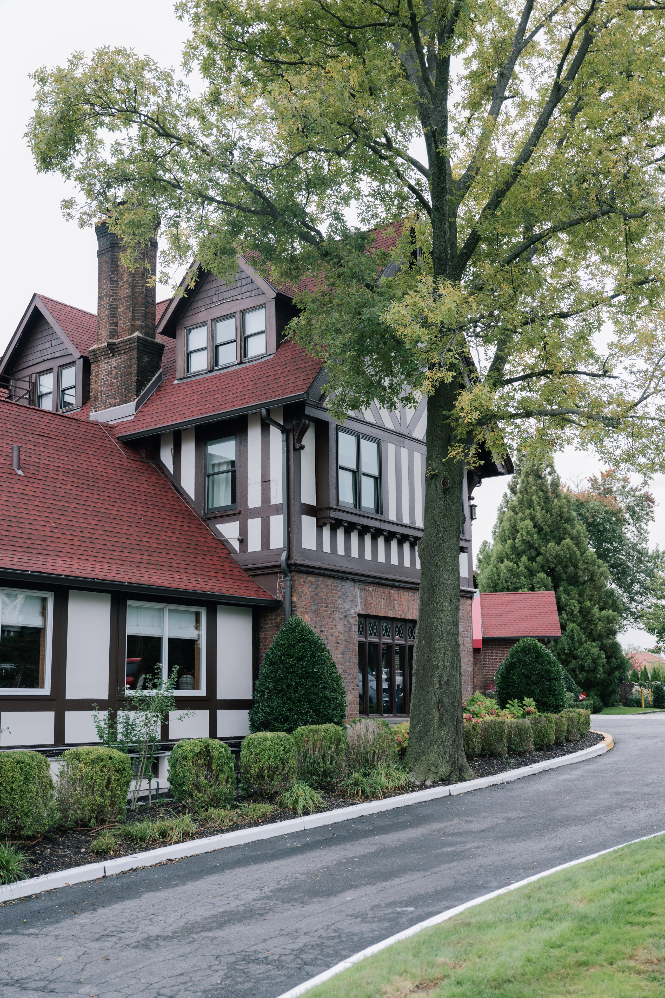a large tree in front of a house