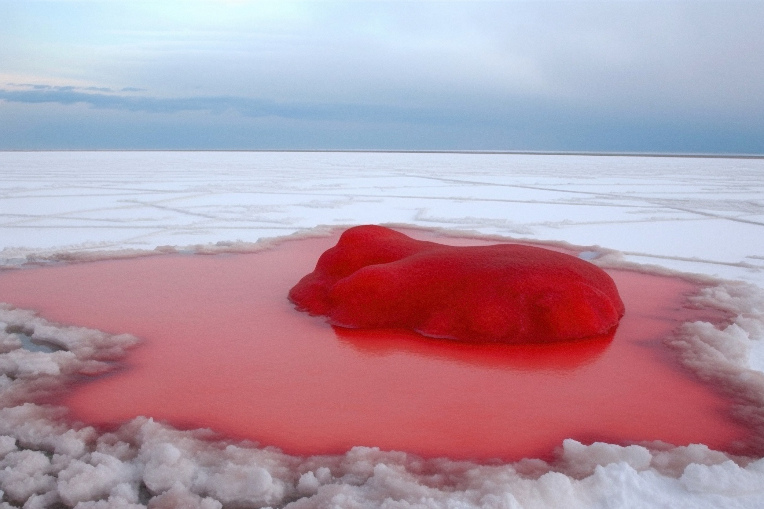 PhilosophAI. GLISH ART — Timofey Glinin & Anastasia Shubina