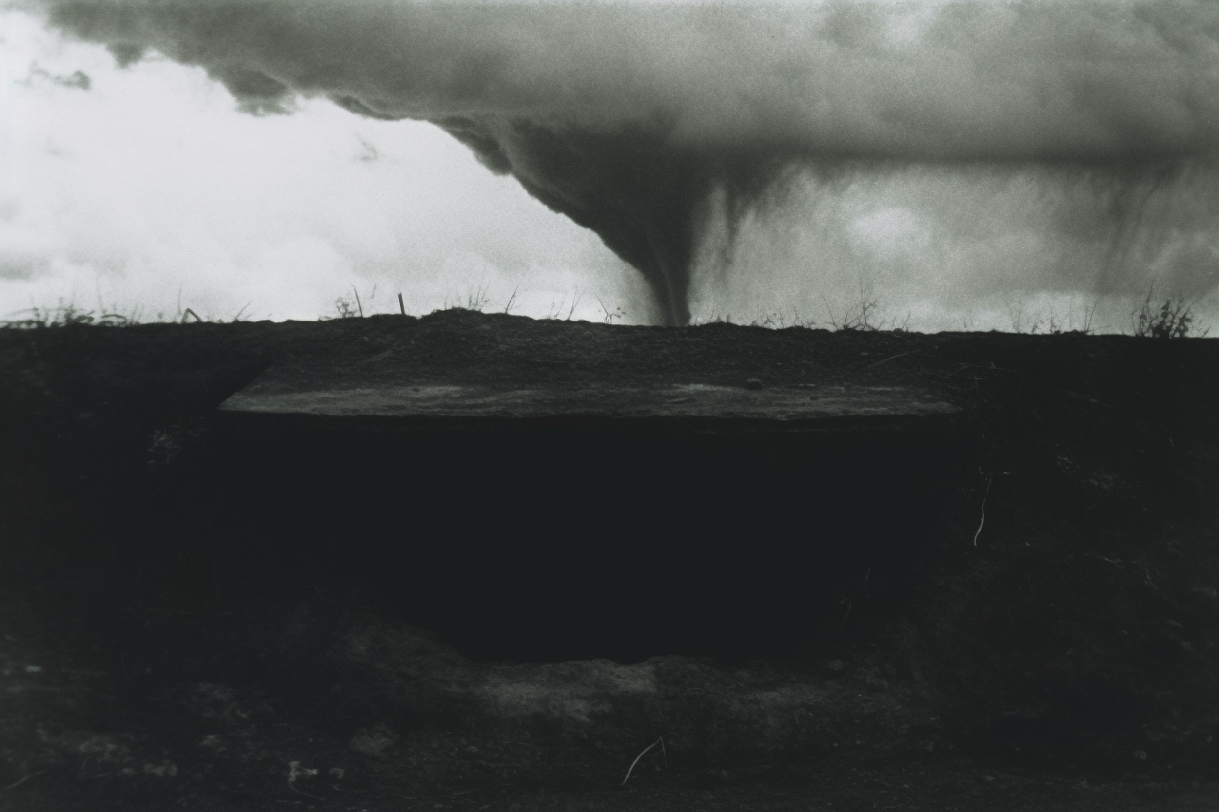 PhilosophAI. GLISH ART — Timofey Glinin & Anastasia Shubina