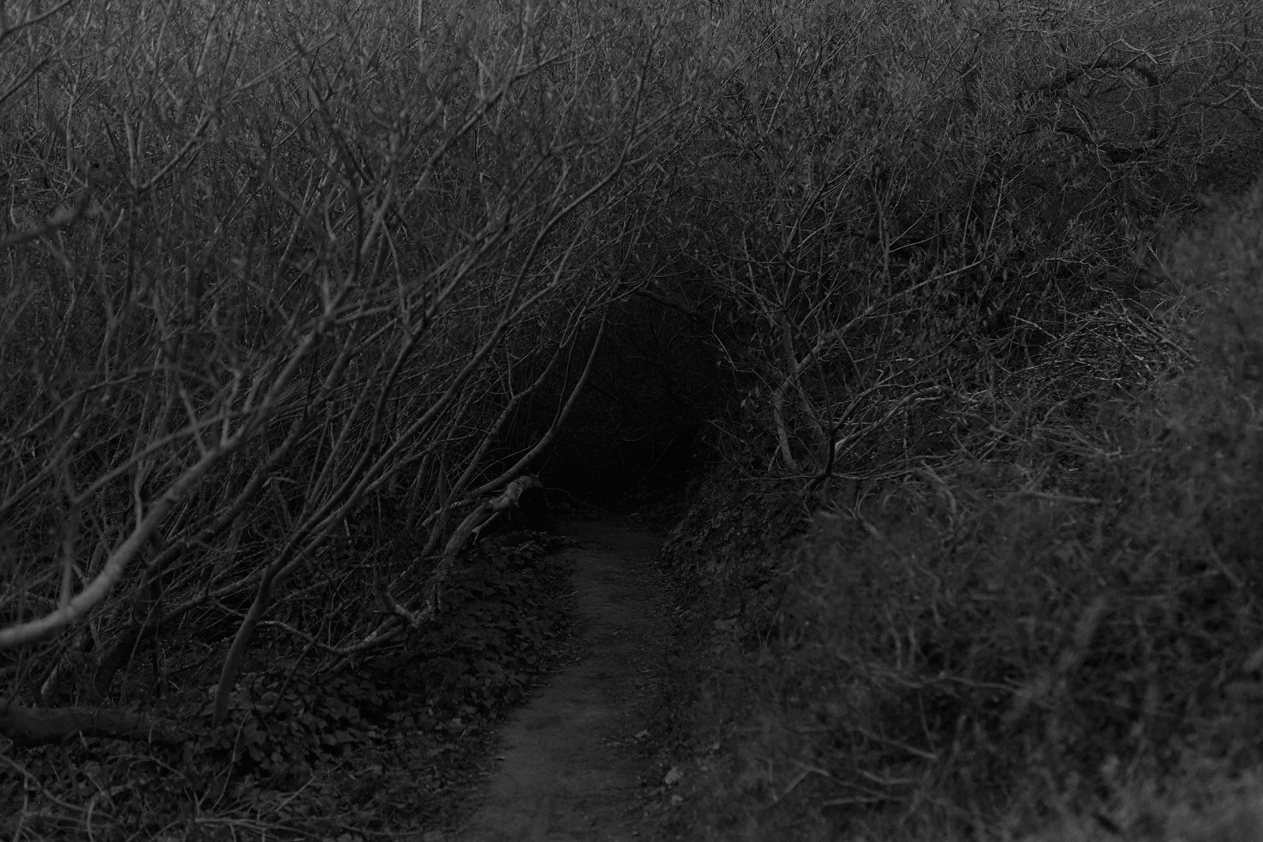 Mystery lands. GLISH ART — Timofey Glinin & Anastasia Shubina