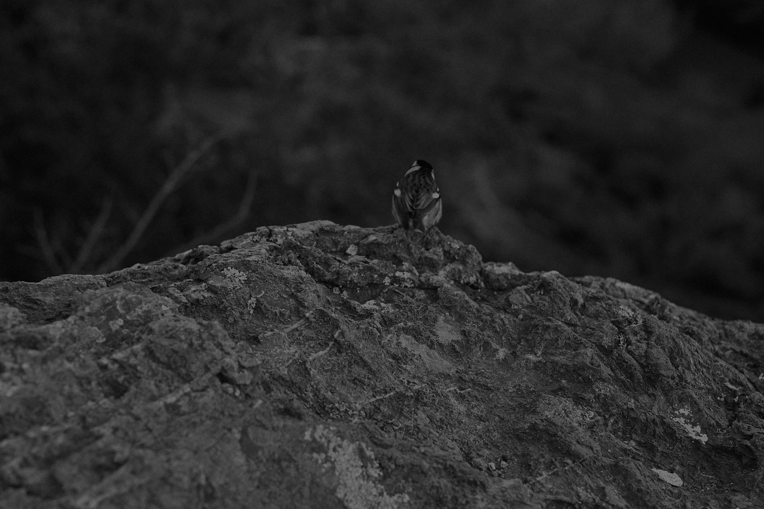 Mystery lands. GLISH ART — Timofey Glinin & Anastasia Shubina