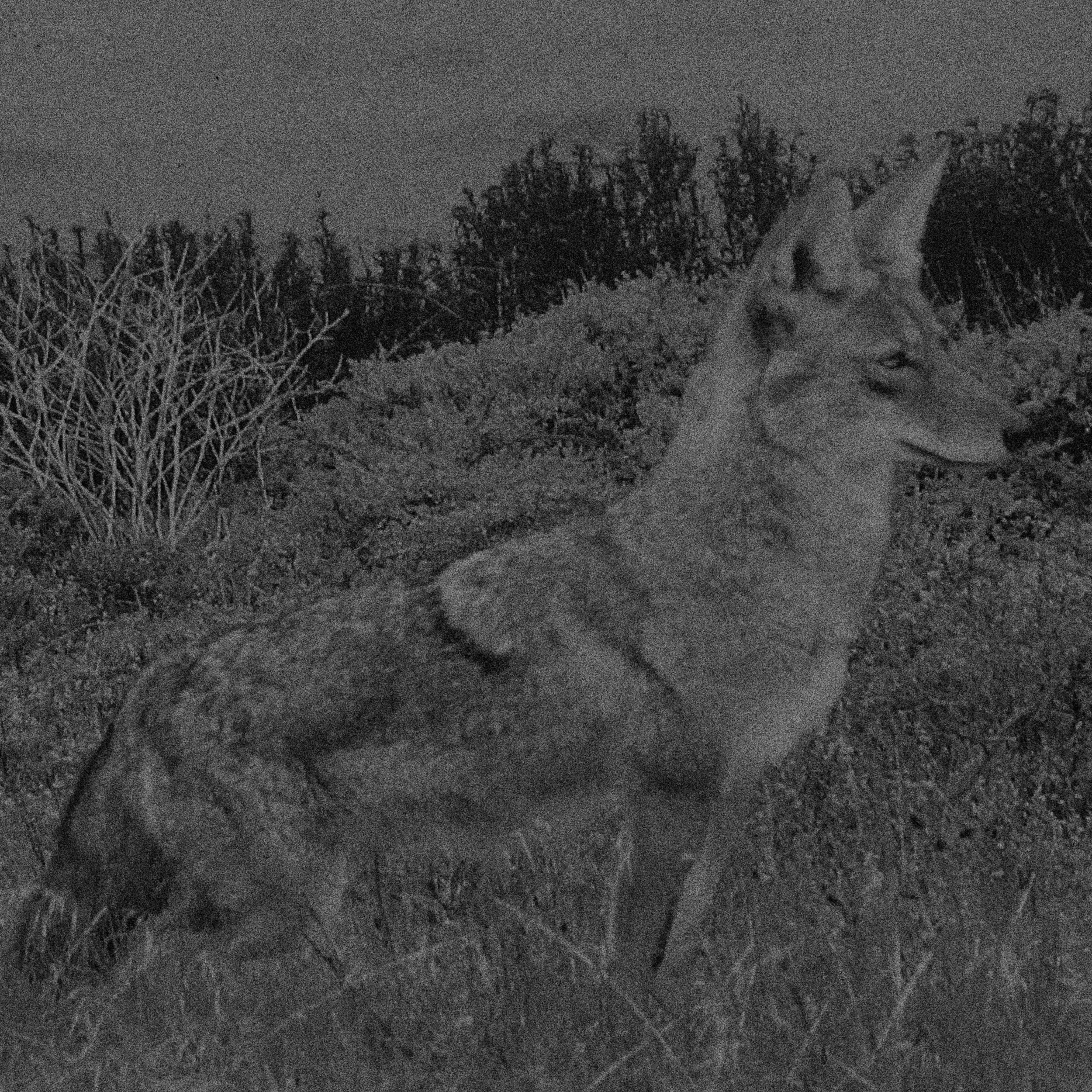 Mystery lands. GLISH ART — Timofey Glinin & Anastasia Shubina