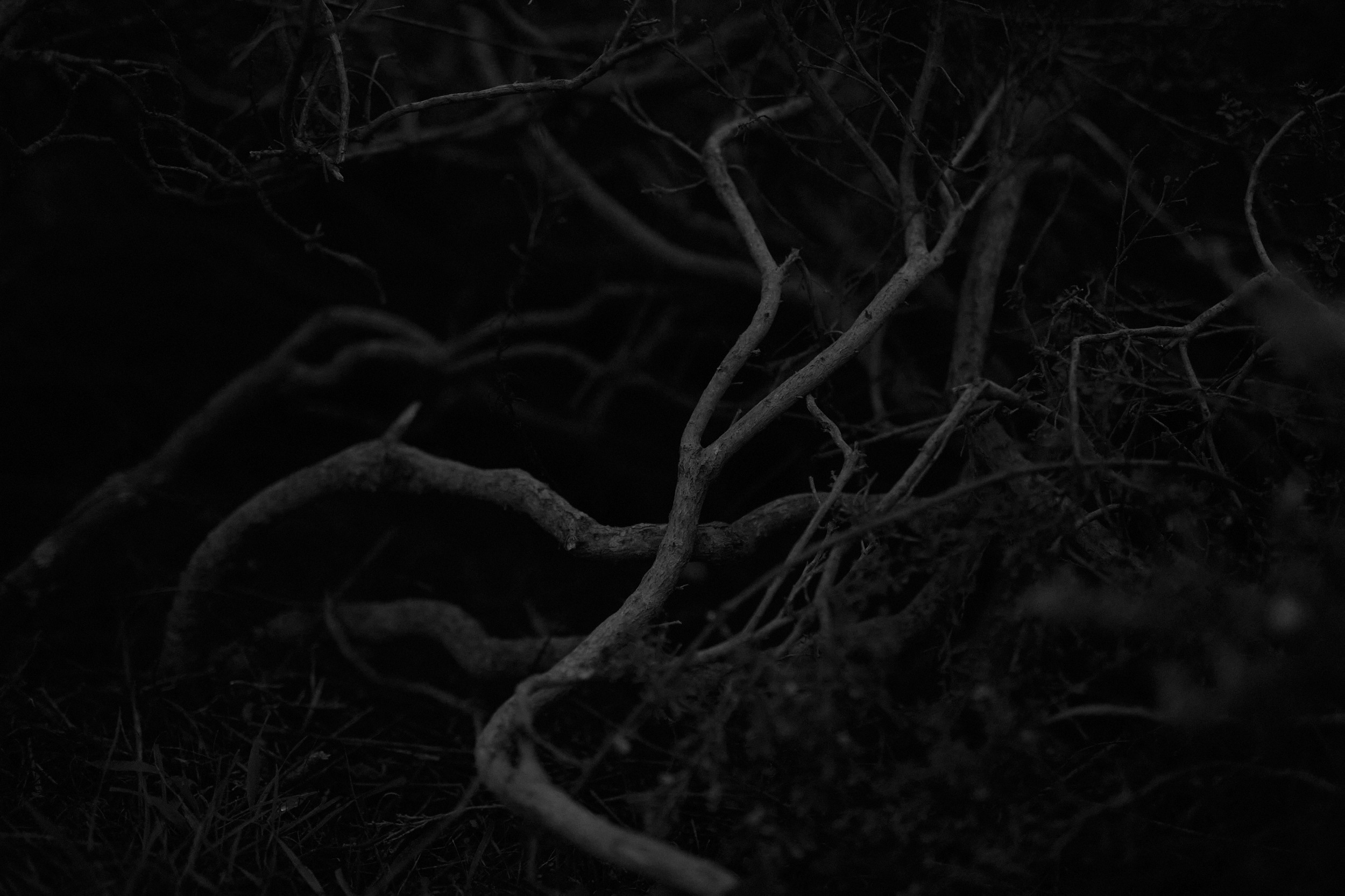 Mystery lands. GLISH ART — Timofey Glinin & Anastasia Shubina