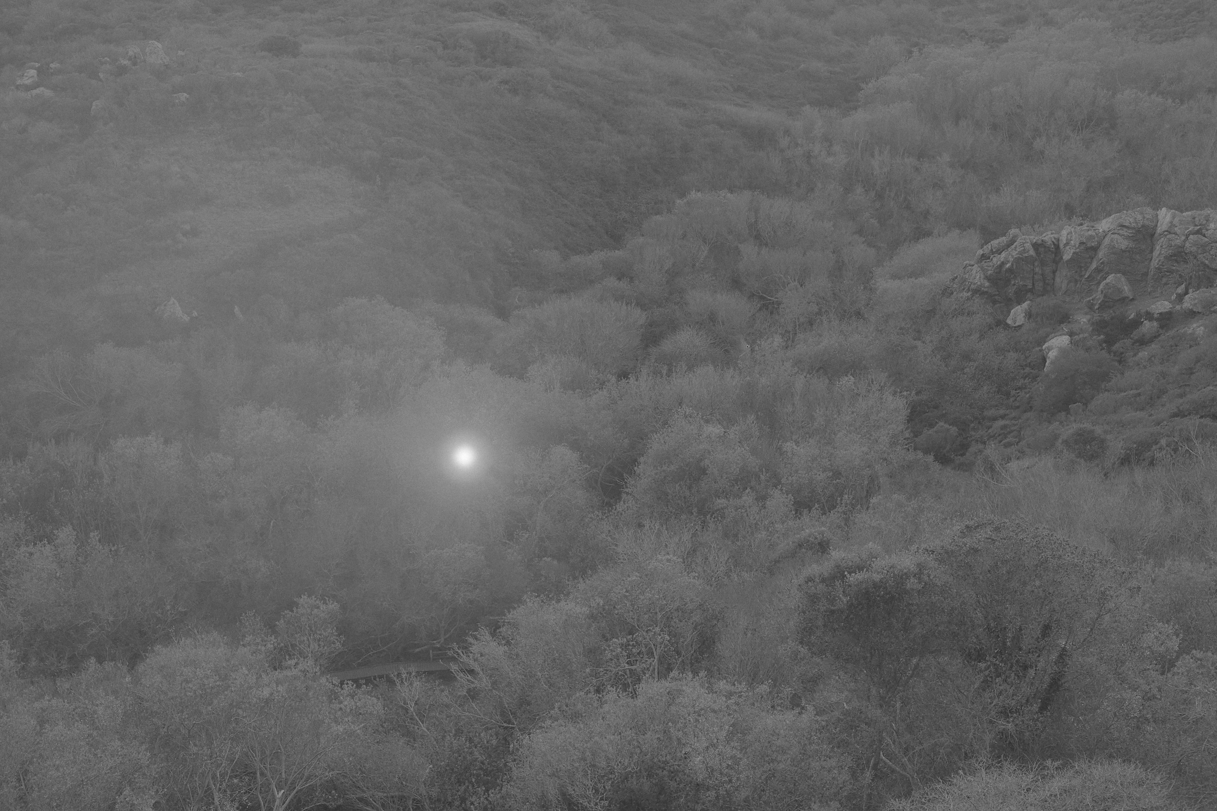 Mystery lands. GLISH ART — Timofey Glinin & Anastasia Shubina