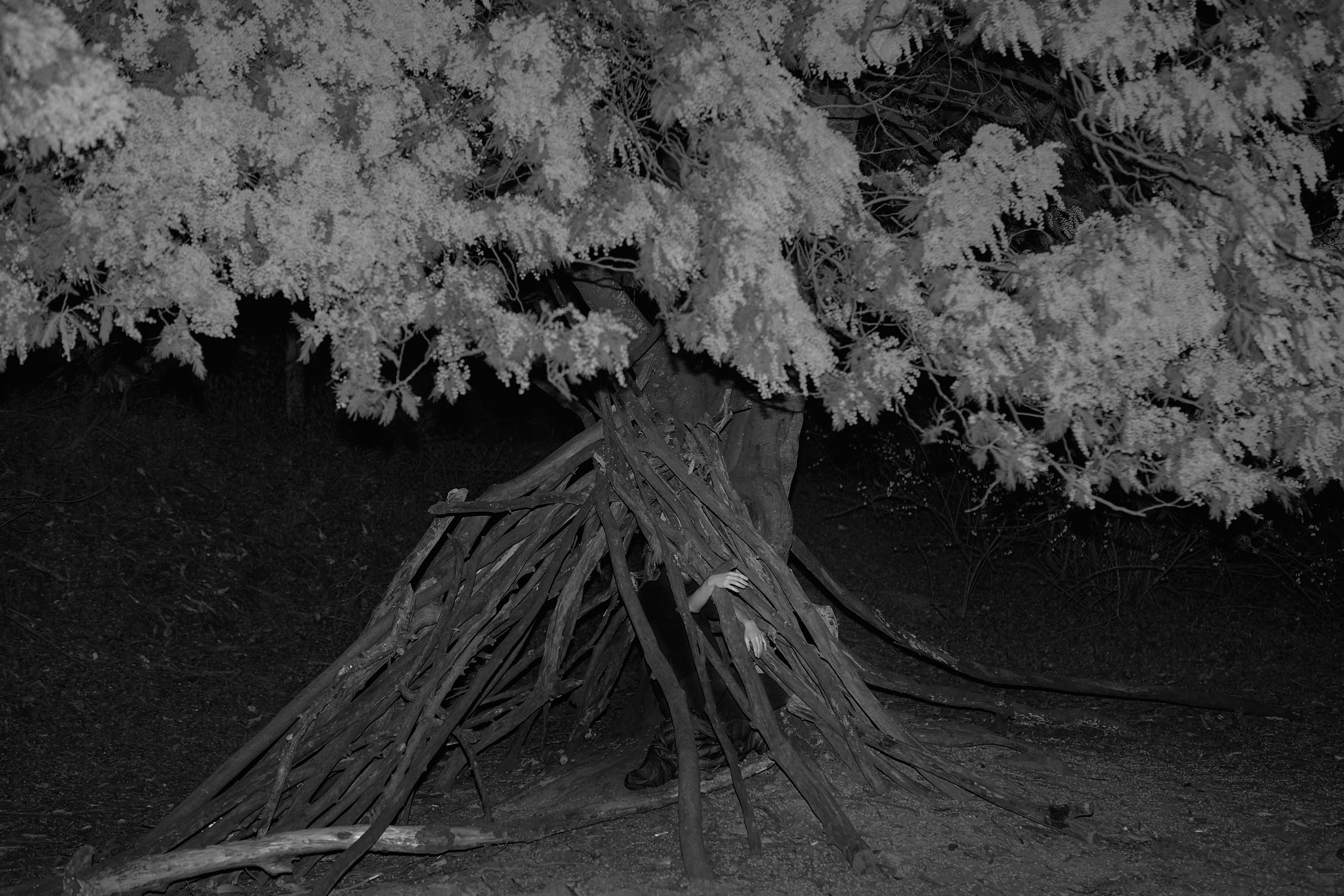 Mystery lands. GLISH ART — Timofey Glinin & Anastasia Shubina