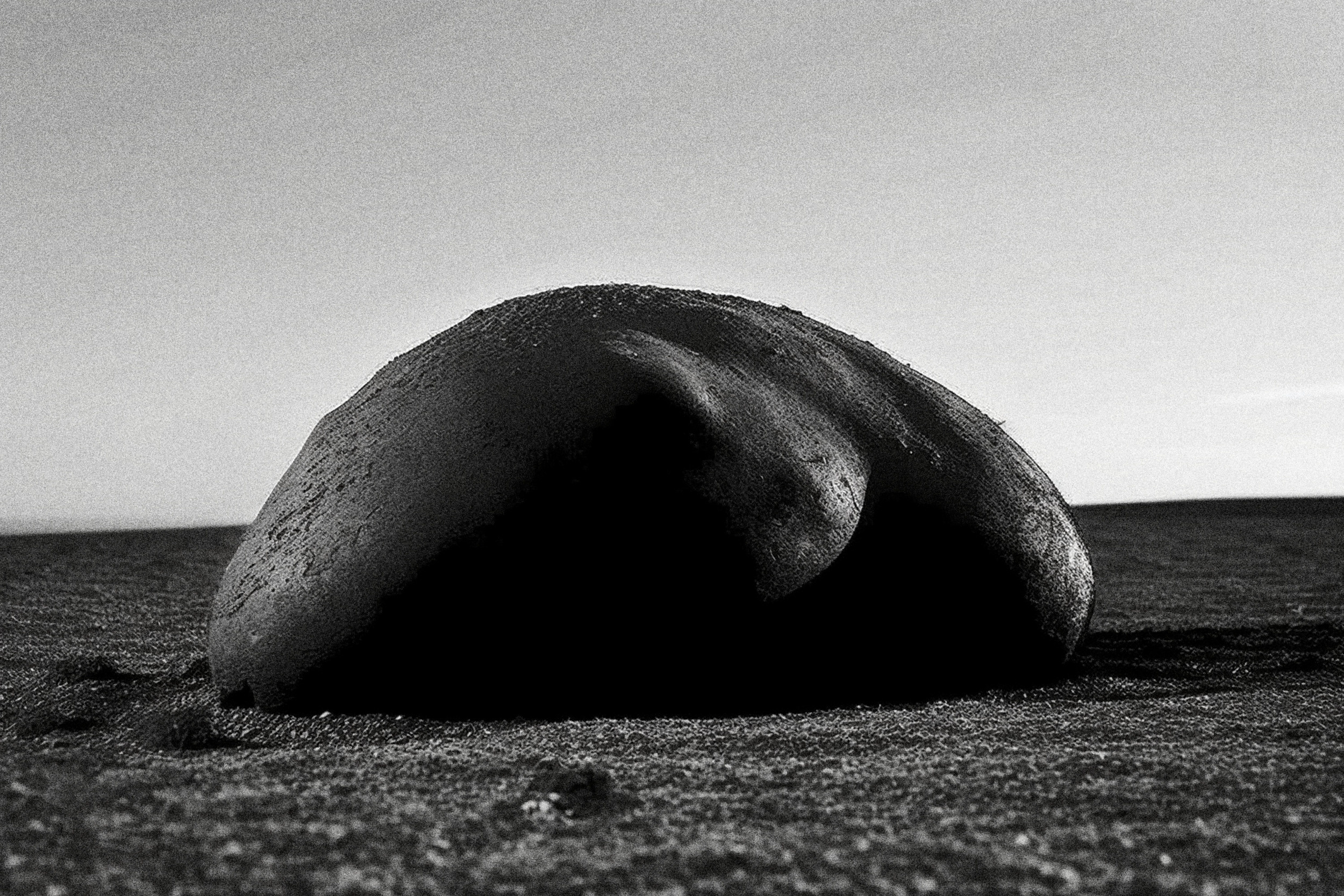 PhilosophAI. GLISH ART — Timofey Glinin & Anastasia Shubina