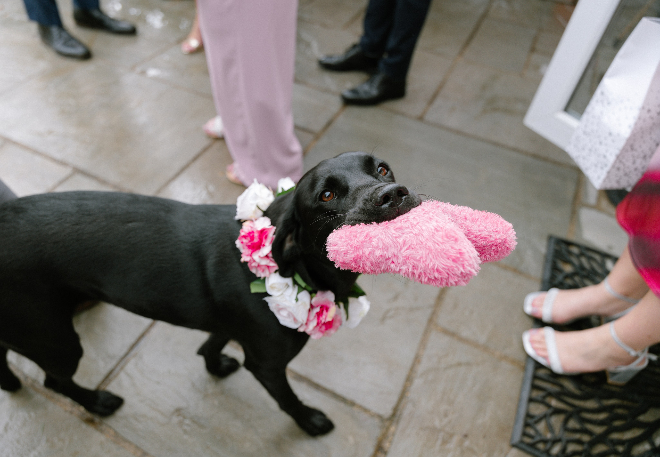Intimate and emotional wedding. Timeless Wedding & Event Photography from London to the world