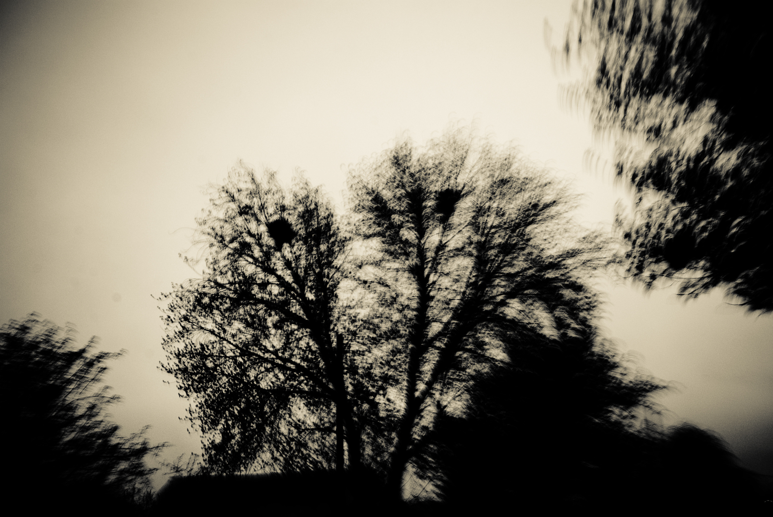 The road. Victoria Dini. Art photography in London / Folkestone, UK