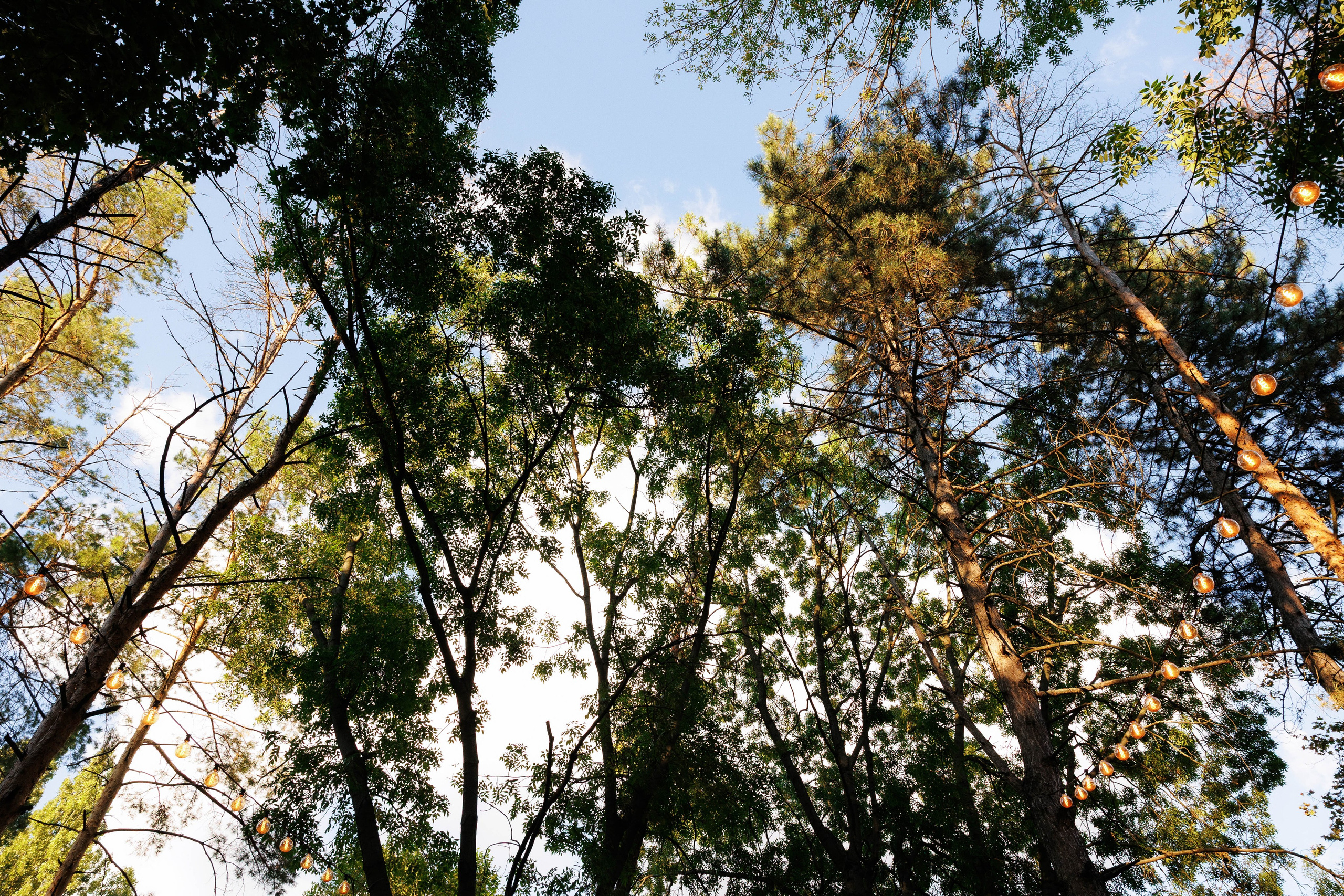 Ai putut fi doar tu. Servicii Foto Video în Chișinău și Europa ID-Brothers