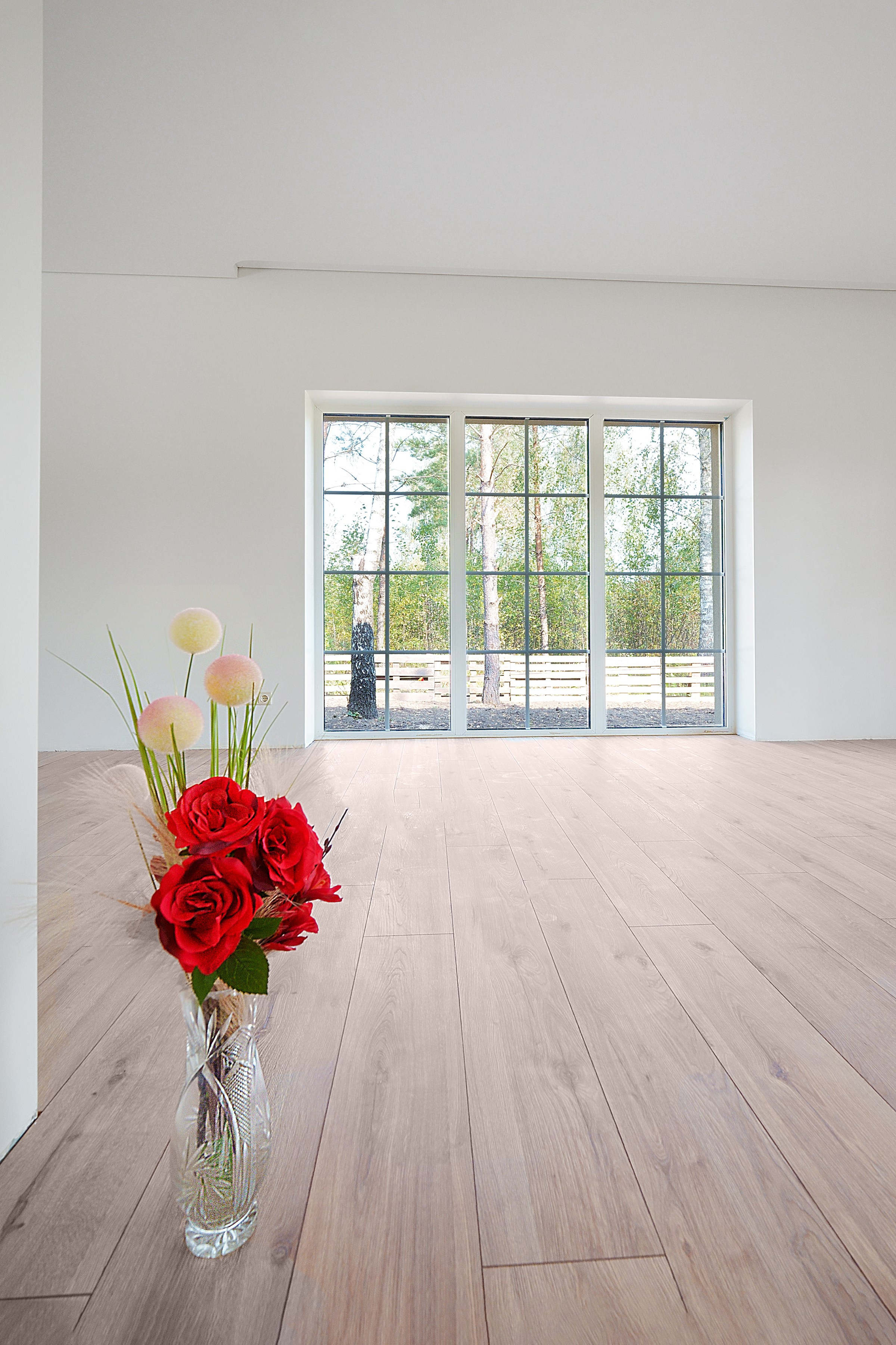 Elina Sapiega fotografė Vilniuje