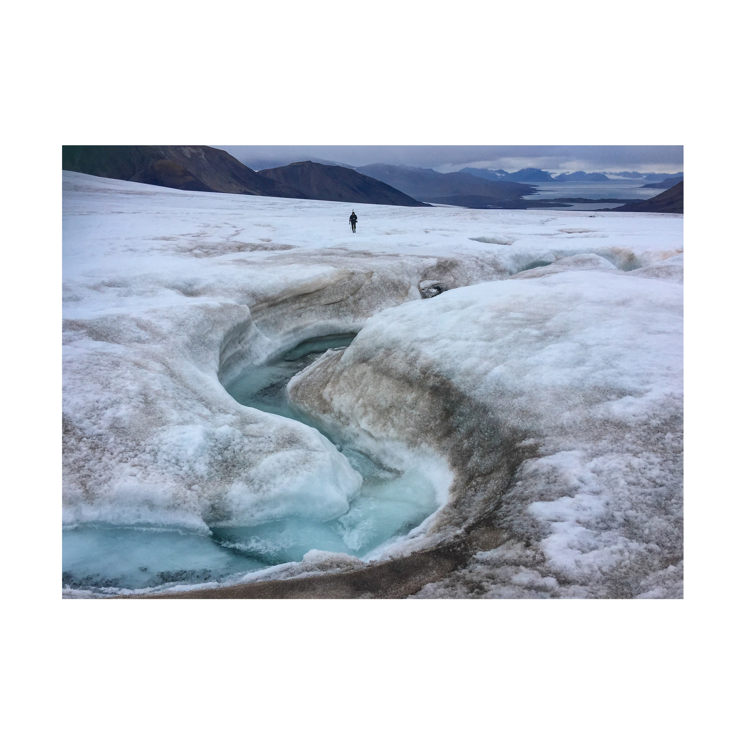 Willingness to freeze. Nelly Elagina