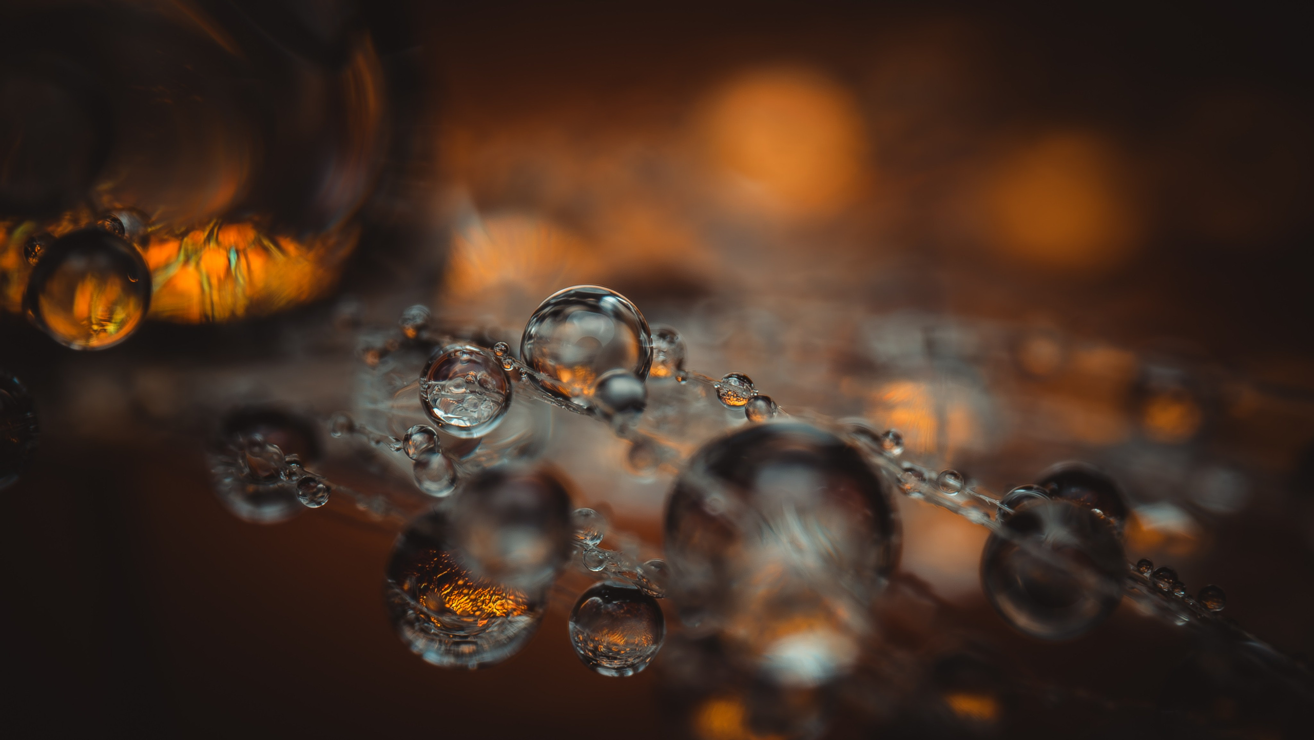 Creative Macro Photographer & Content Creator in Birmingham, UK — Lee Hall