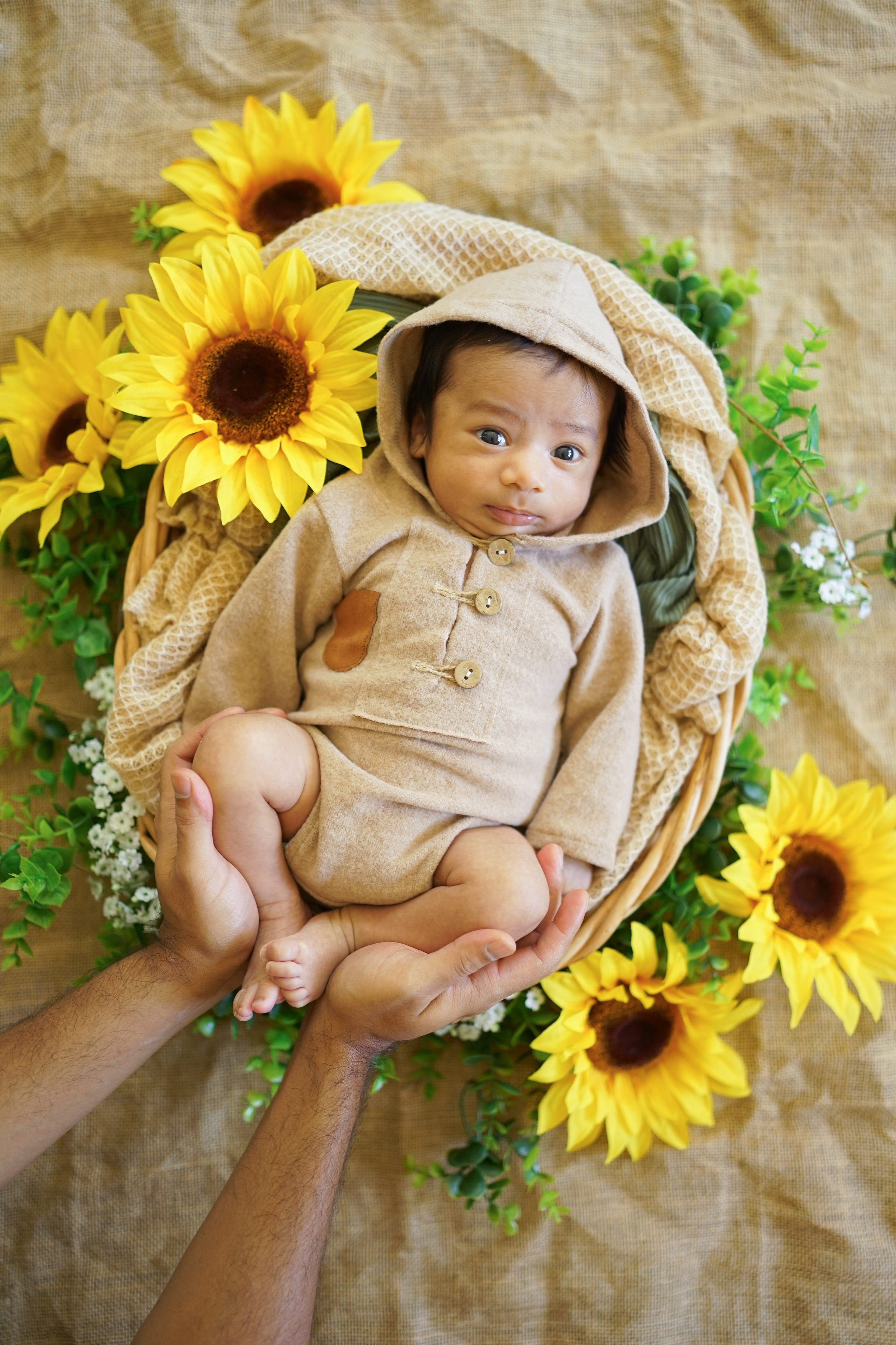 Posed Newborn. Maternity, family and newborn photography in San Francisco Bay Area