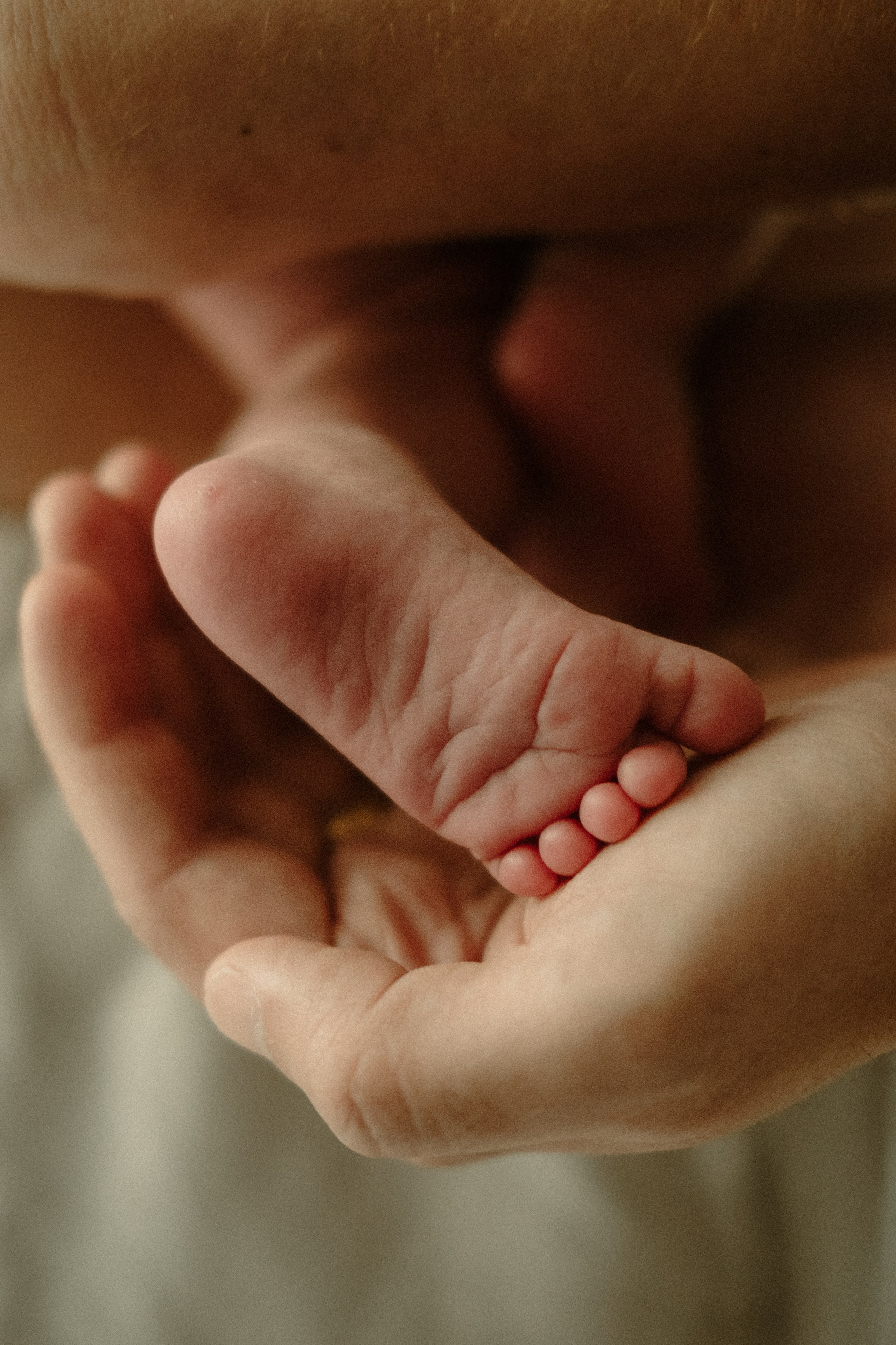 Newborn Photography Portfolio | Documentary Newborn sessions by Anna Dobrovolskaia in Richmond, VA Photography. Family Photographer Anna Dobrovolskaia | Richmond, VA