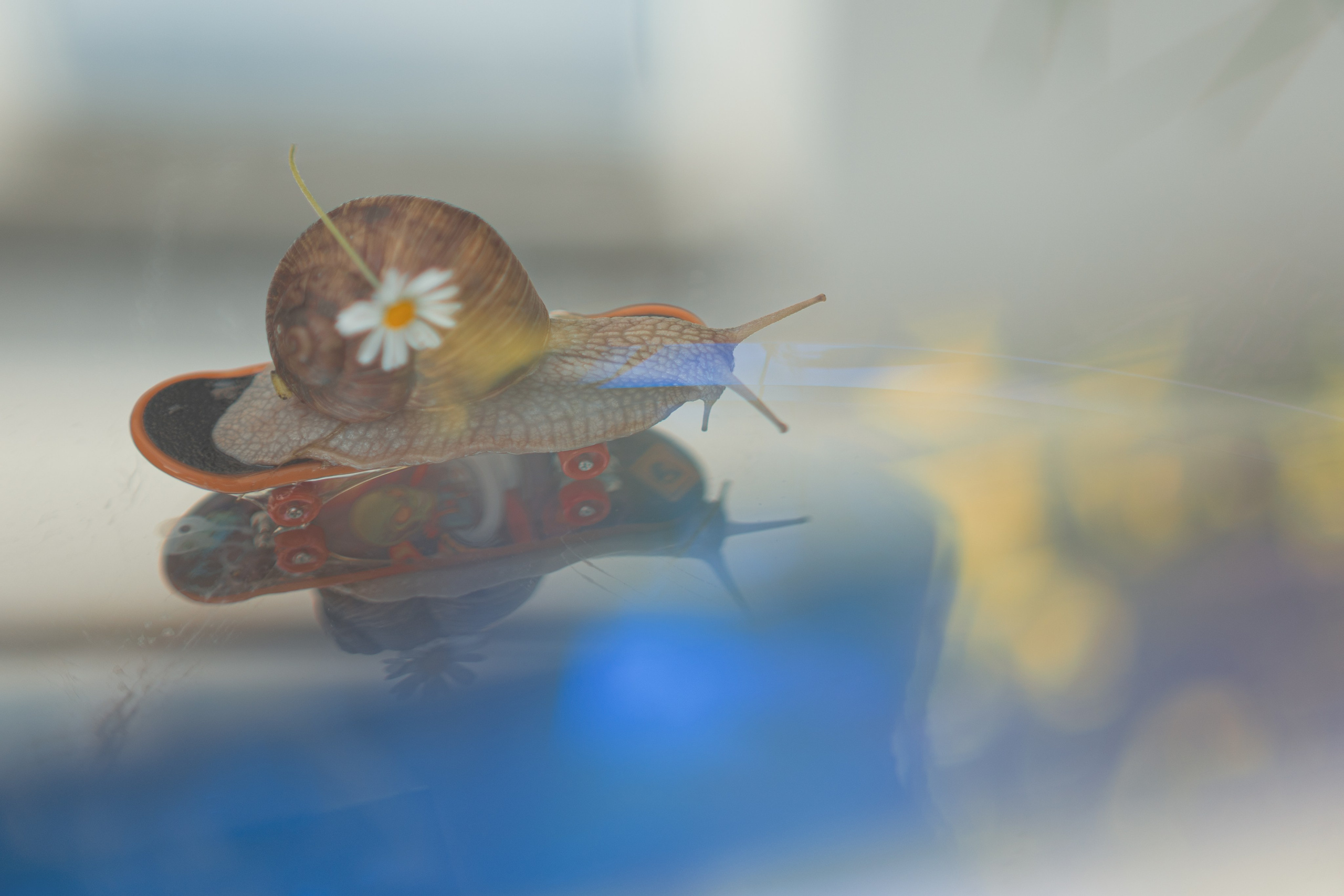 Mein Haus ist immer bei mir. Natalia Olfert Fotografie