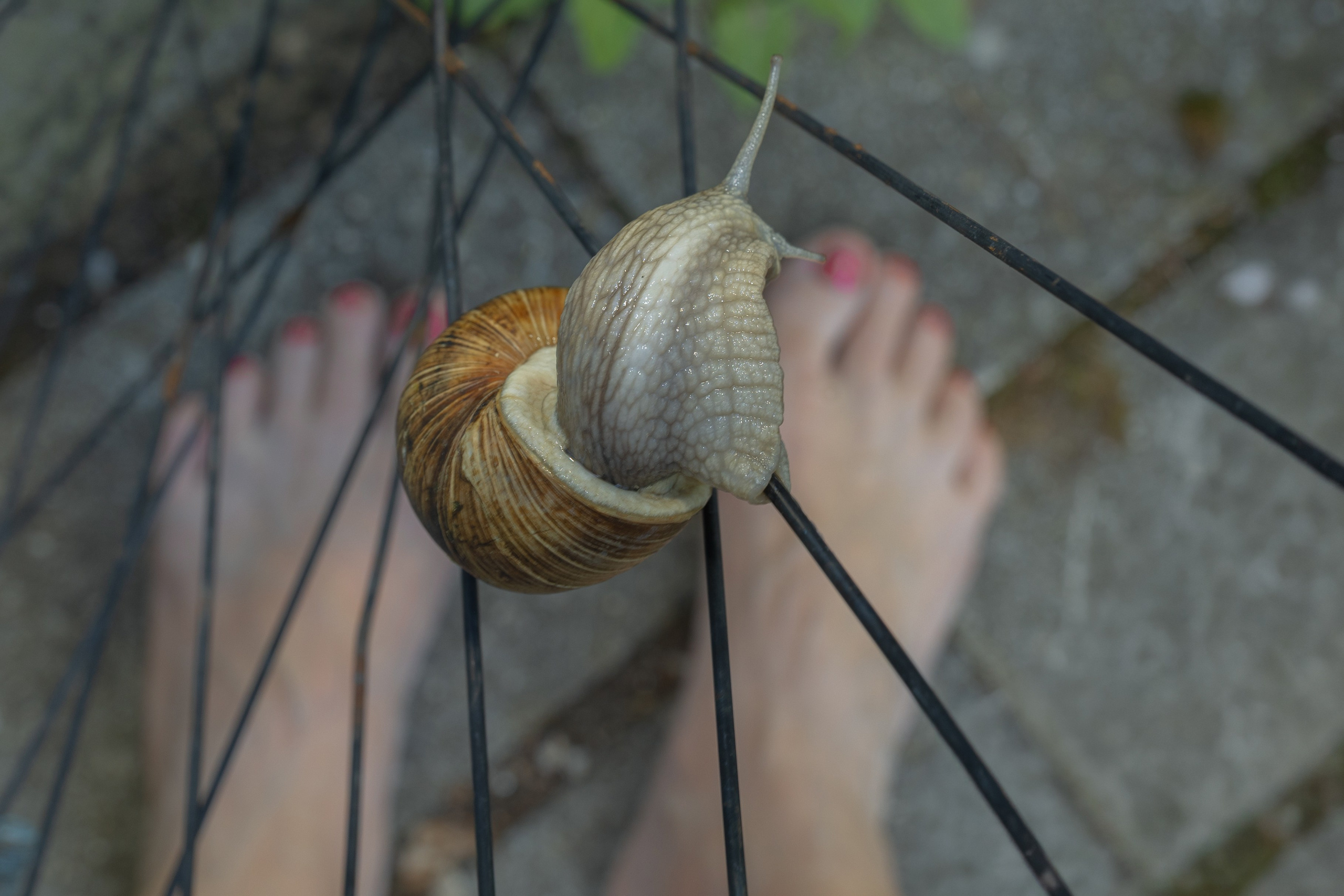 Mein Haus ist immer bei mir. Natalia Olfert Fotografie