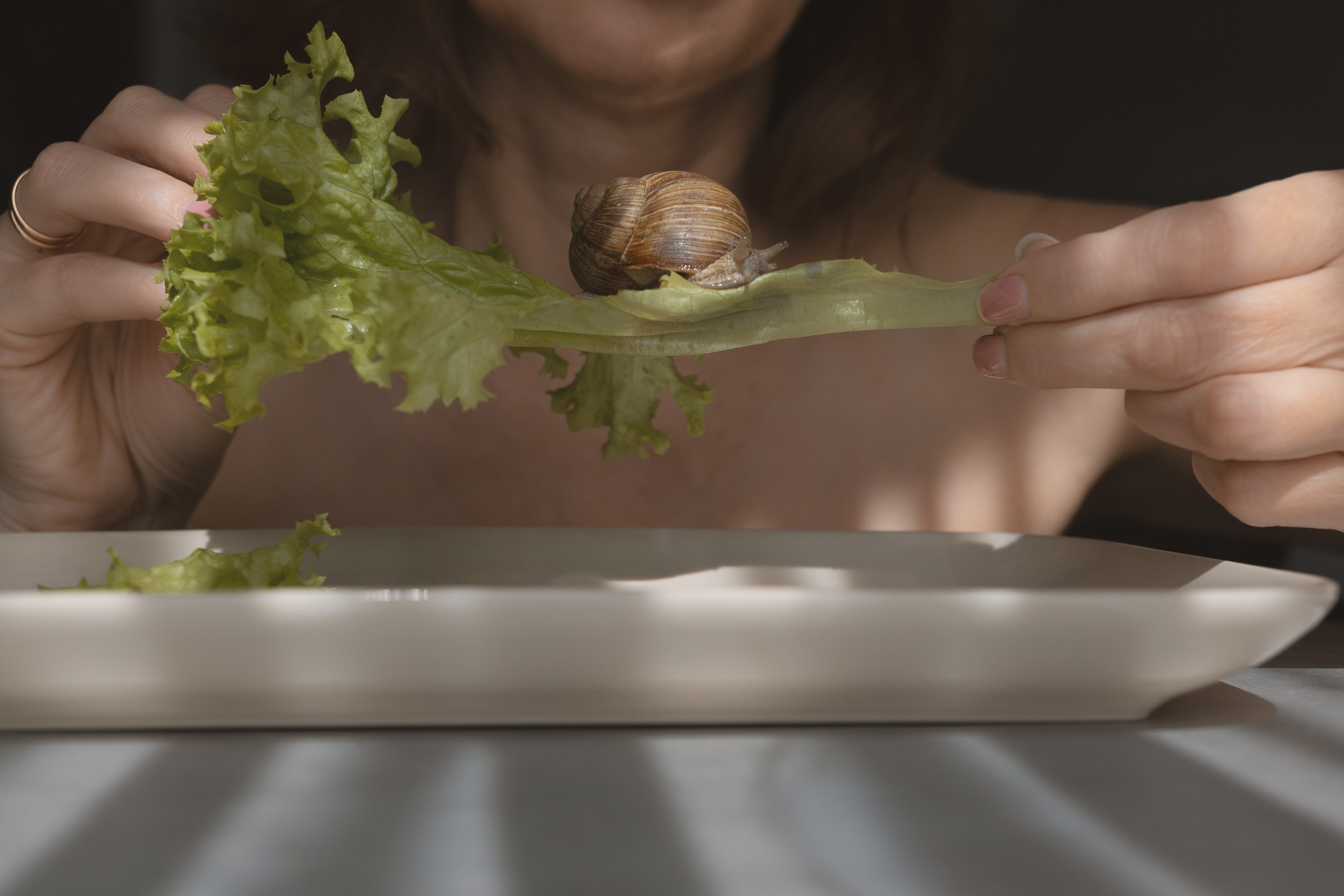Mein Haus ist immer bei mir. Natalia Olfert Fotografie