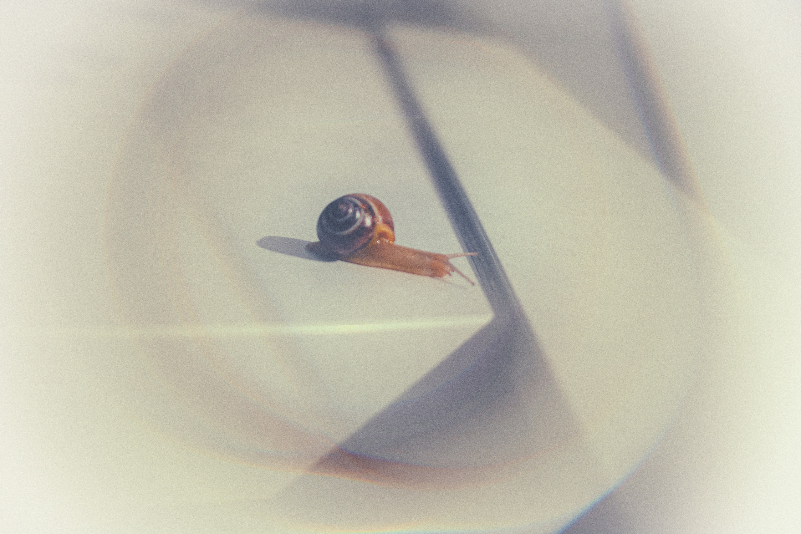 Mein Haus ist immer bei mir. Natalia Olfert Fotografie