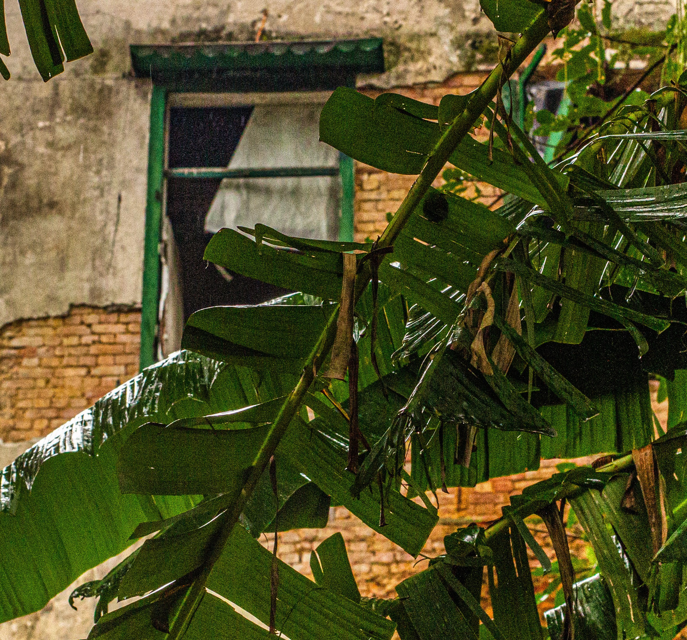 Deus e Brasileiro. Natalia Olfert Fotografie