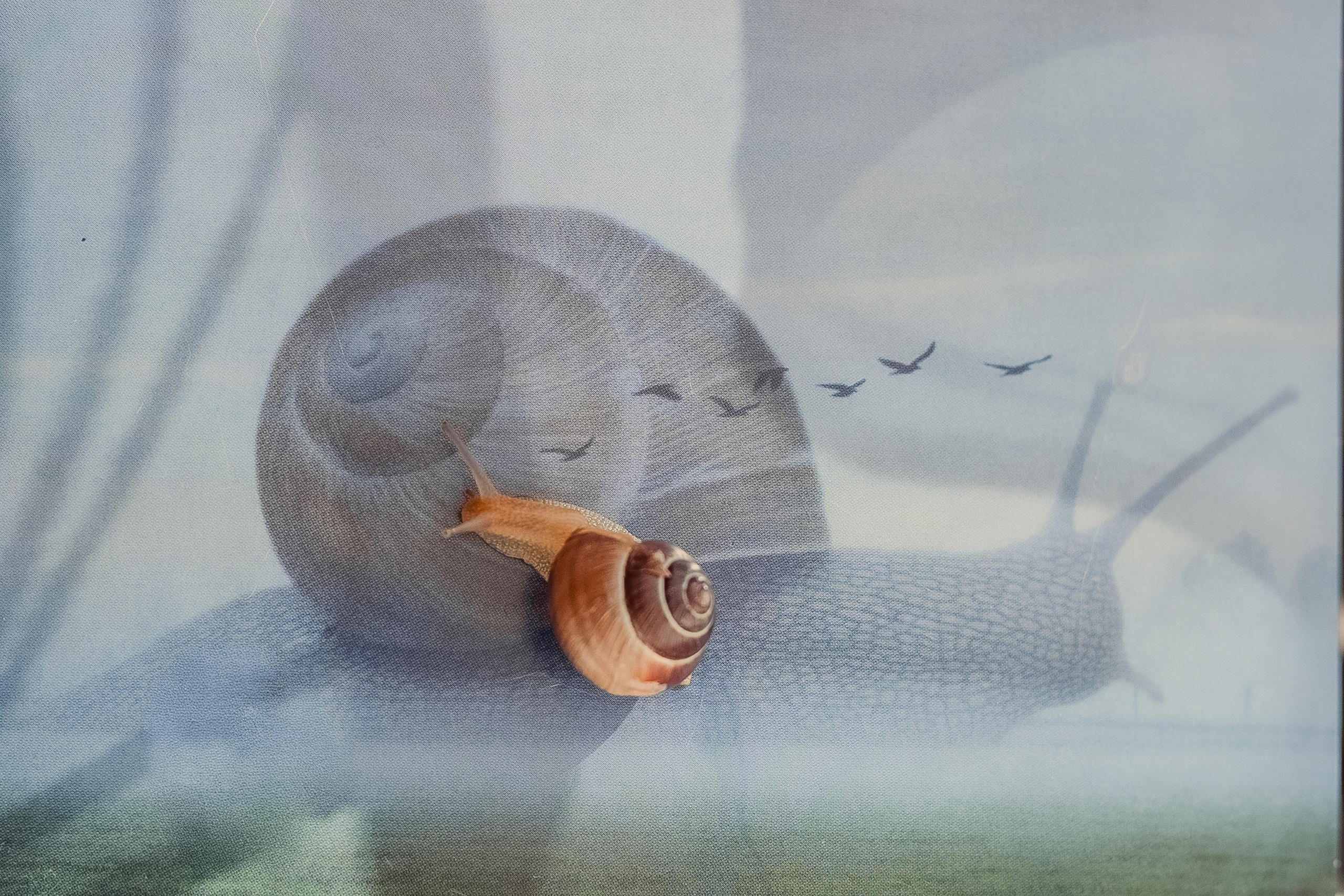 Mein Haus ist immer bei mir. Natalia Olfert Fotografie