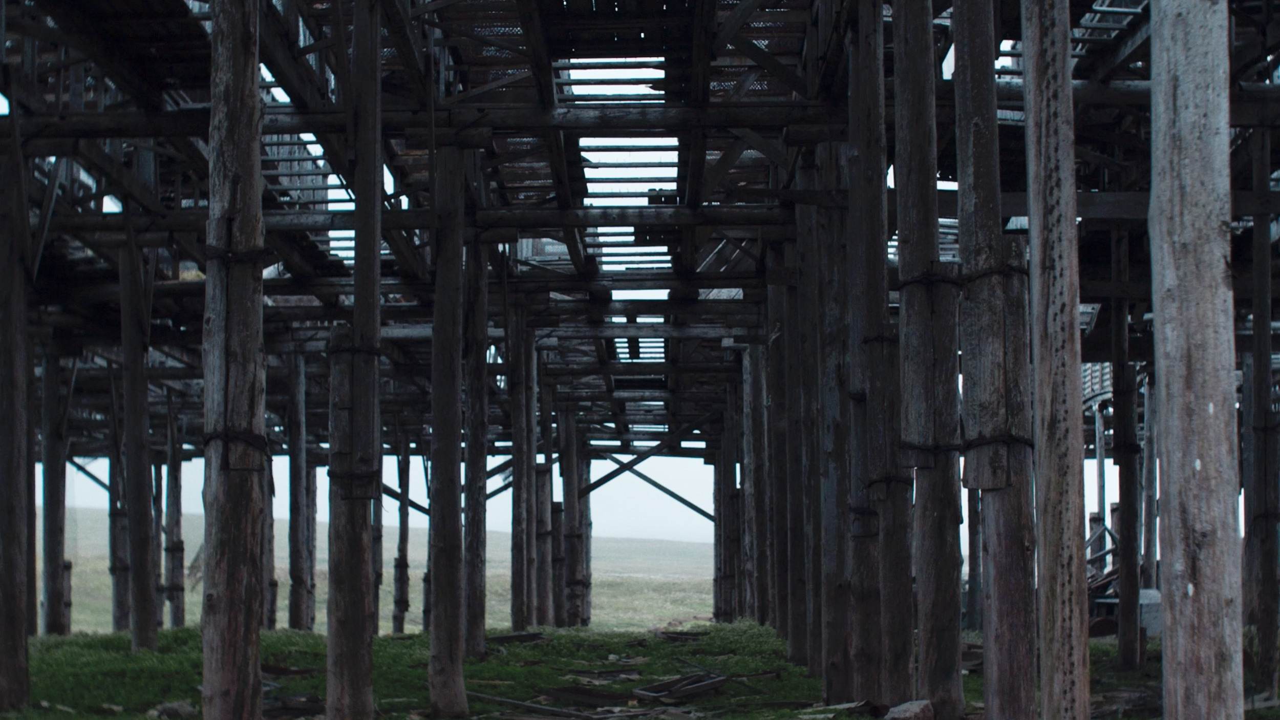 Piblokto. Singularity Film