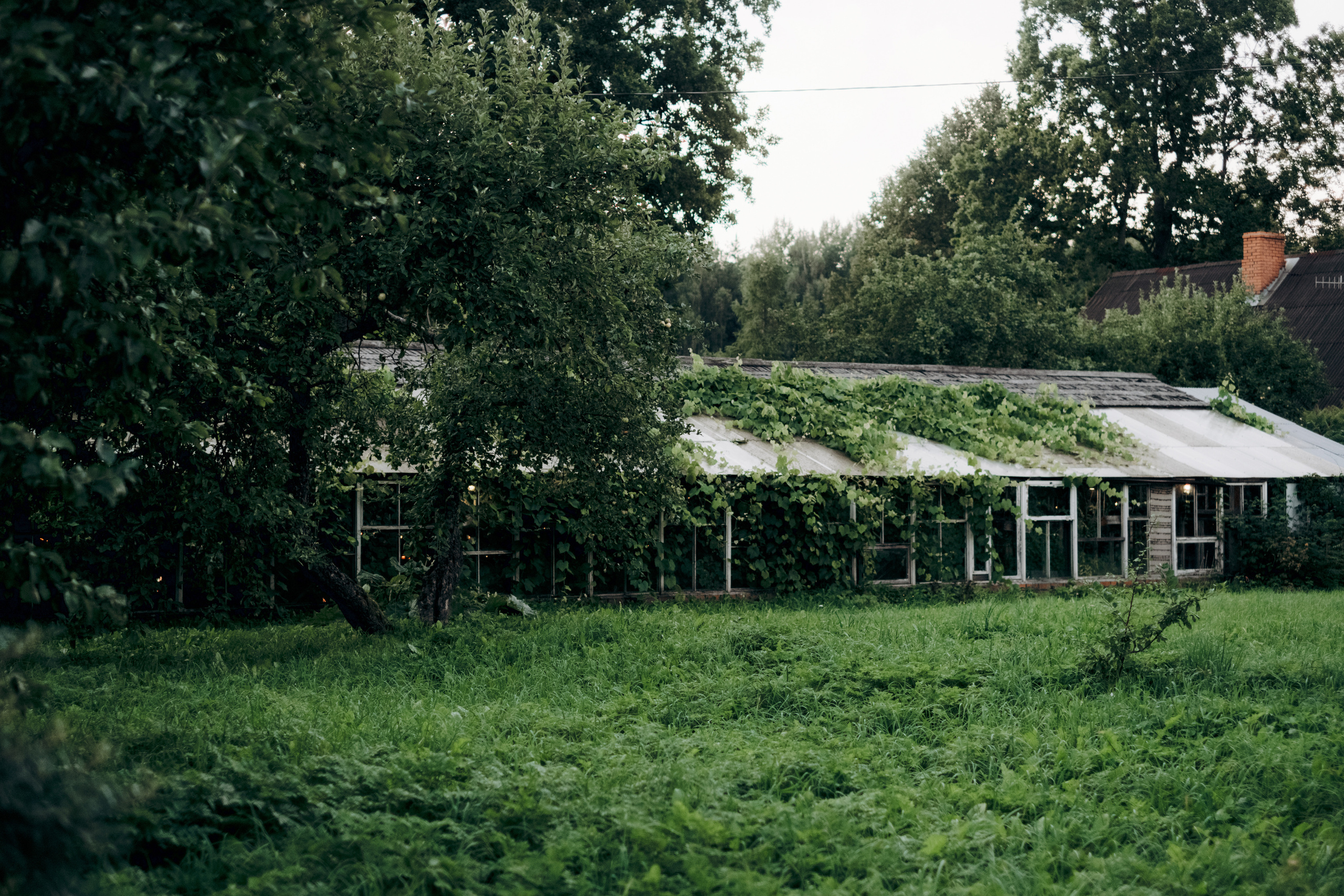Kāzu foto stāsts Valmierā - Viesu nams Siltumnīca | Madara un Gvido. Kāzu × Ģimenes notikumu fotografs Edgars Kalniņš