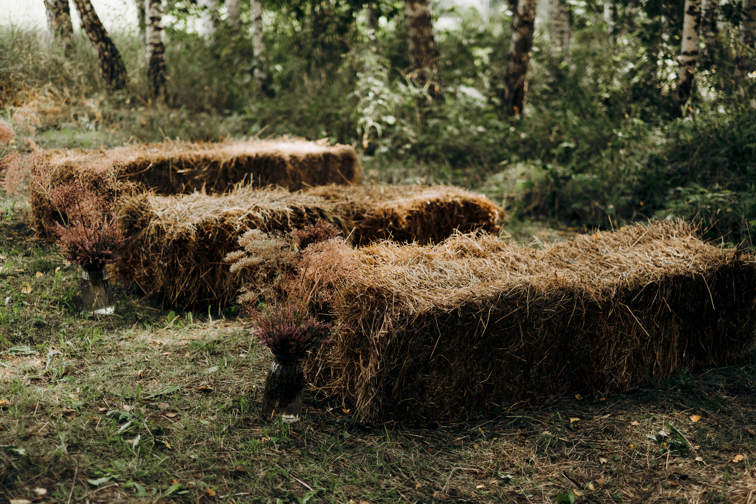 Kāzu foto stāsts Valmierā - Viesu nams Siltumnīca | Madara un Gvido. Kāzu × Ģimenes notikumu fotografs Edgars Kalniņš