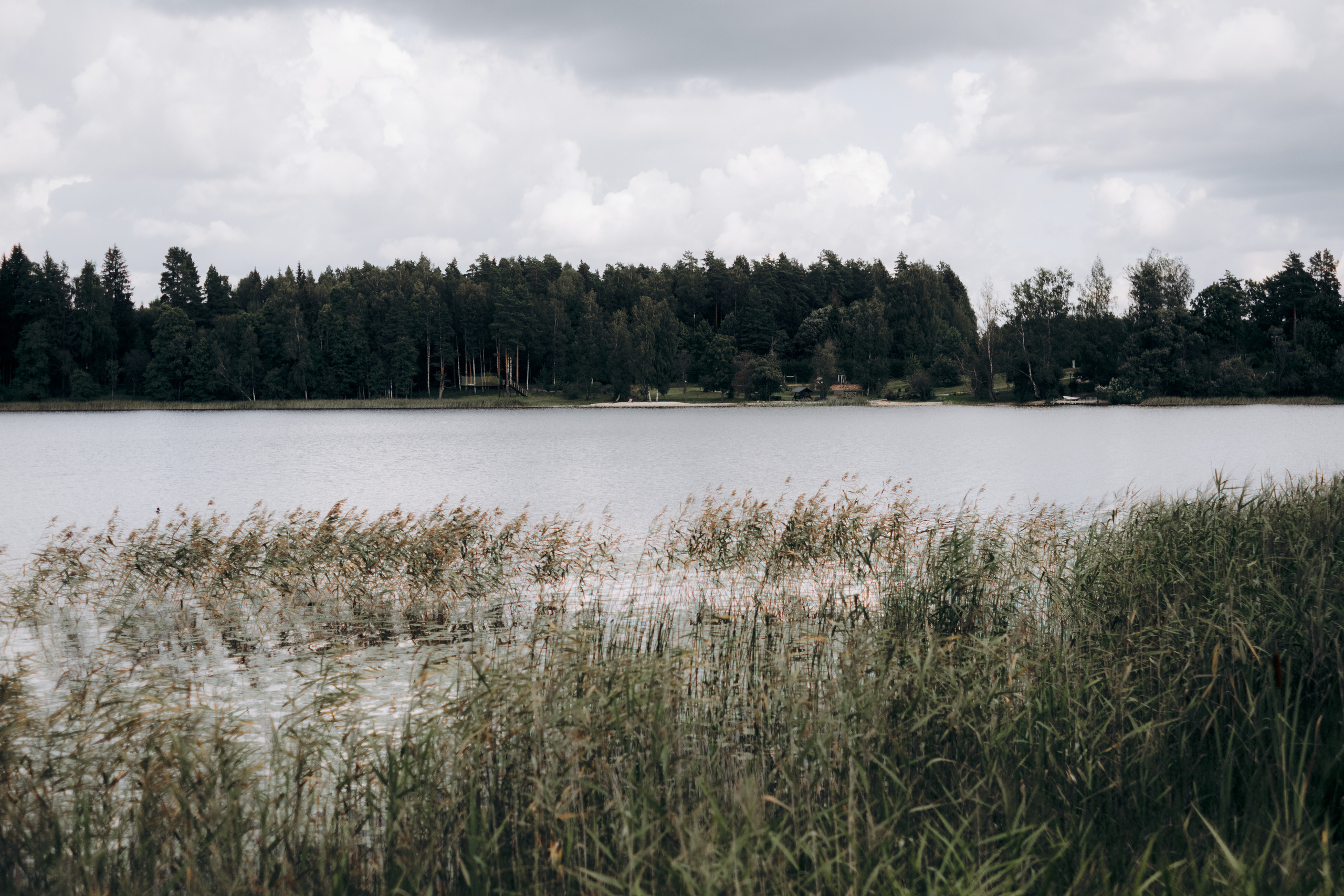 Kāzu foto stāsts Valmierā - Viesu nams Siltumnīca | Madara un Gvido. Kāzu × Ģimenes notikumu fotografs Edgars Kalniņš
