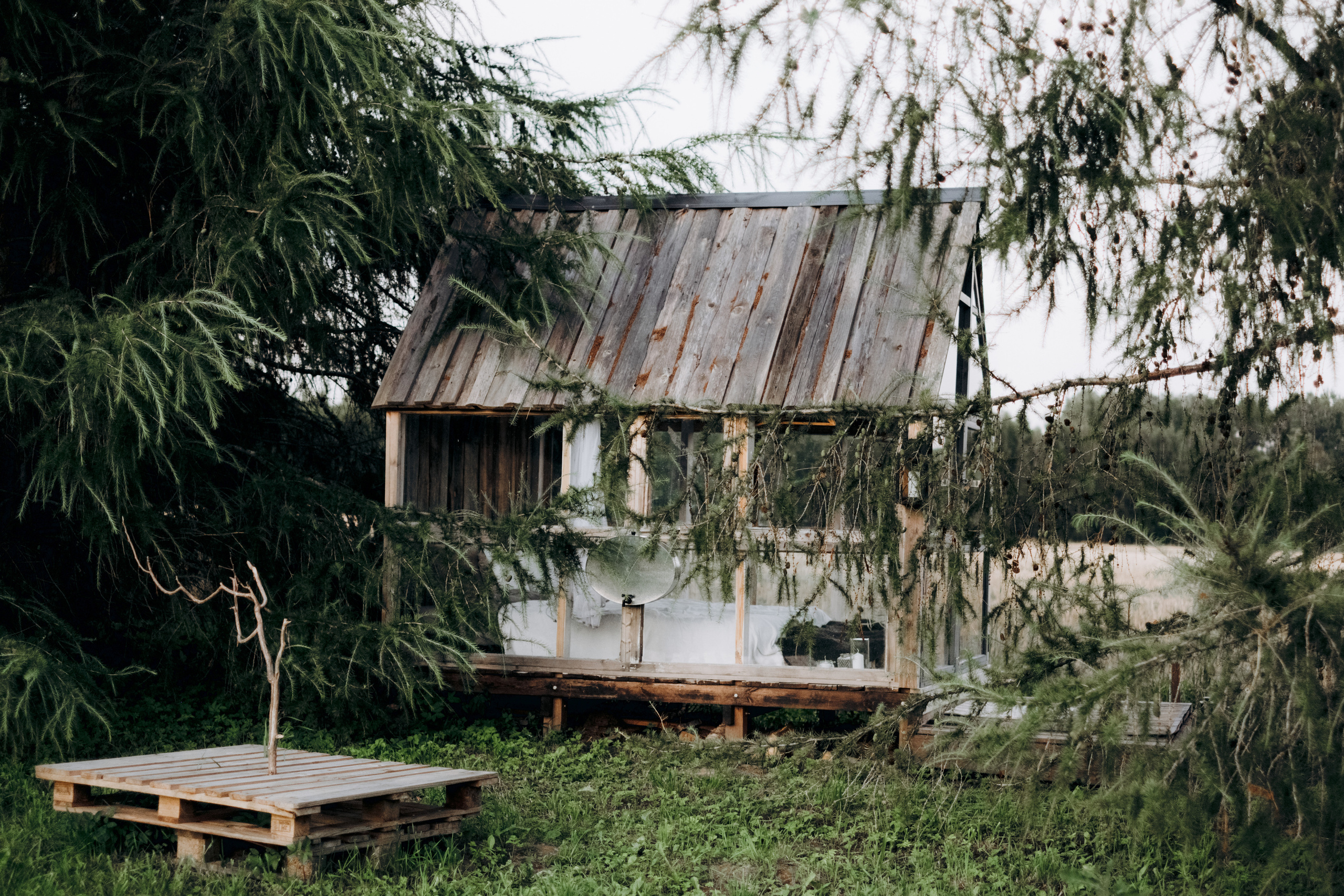 Kāzu foto stāsts Valmierā - Viesu nams Siltumnīca | Madara un Gvido. Kāzu × Ģimenes notikumu fotografs Edgars Kalniņš