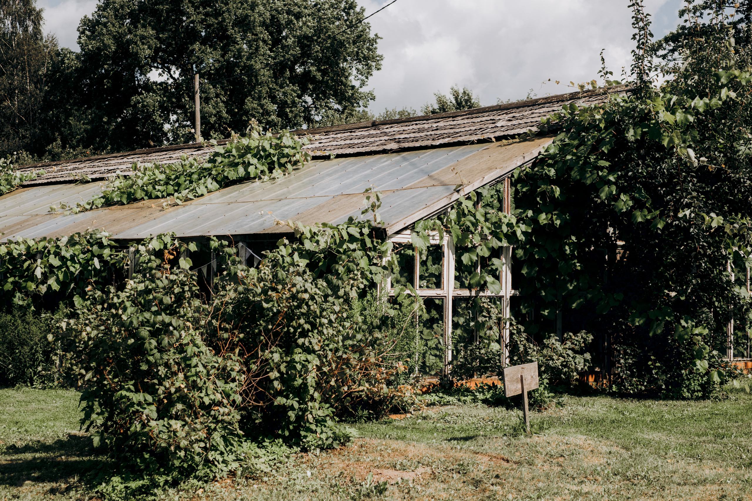 Viesu nams siltumnica deko