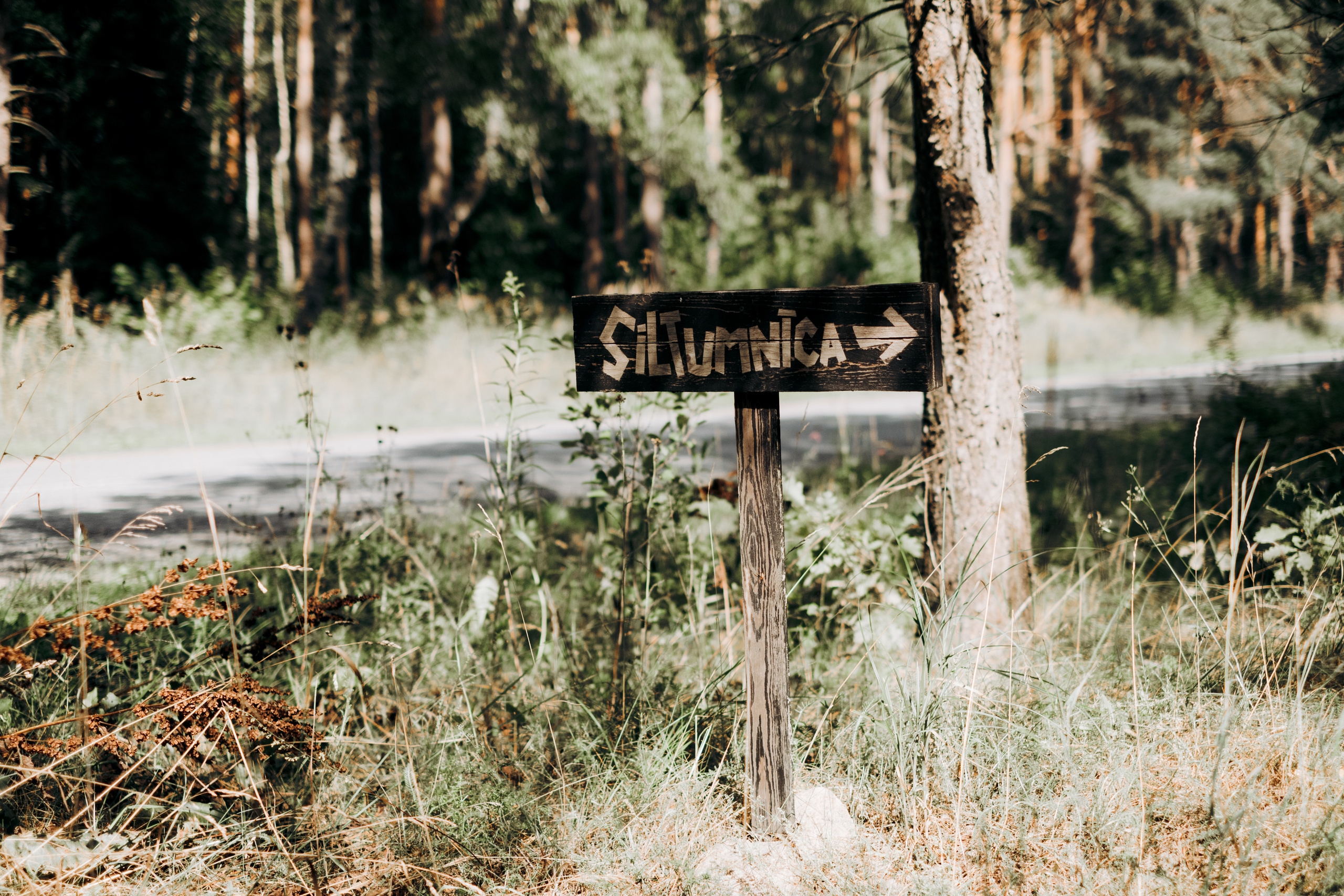 Kāzu foto stāsts Valmierā - Viesu nams Siltumnīca | Madara un Gvido. Kāzu × Ģimenes notikumu fotografs Edgars Kalniņš