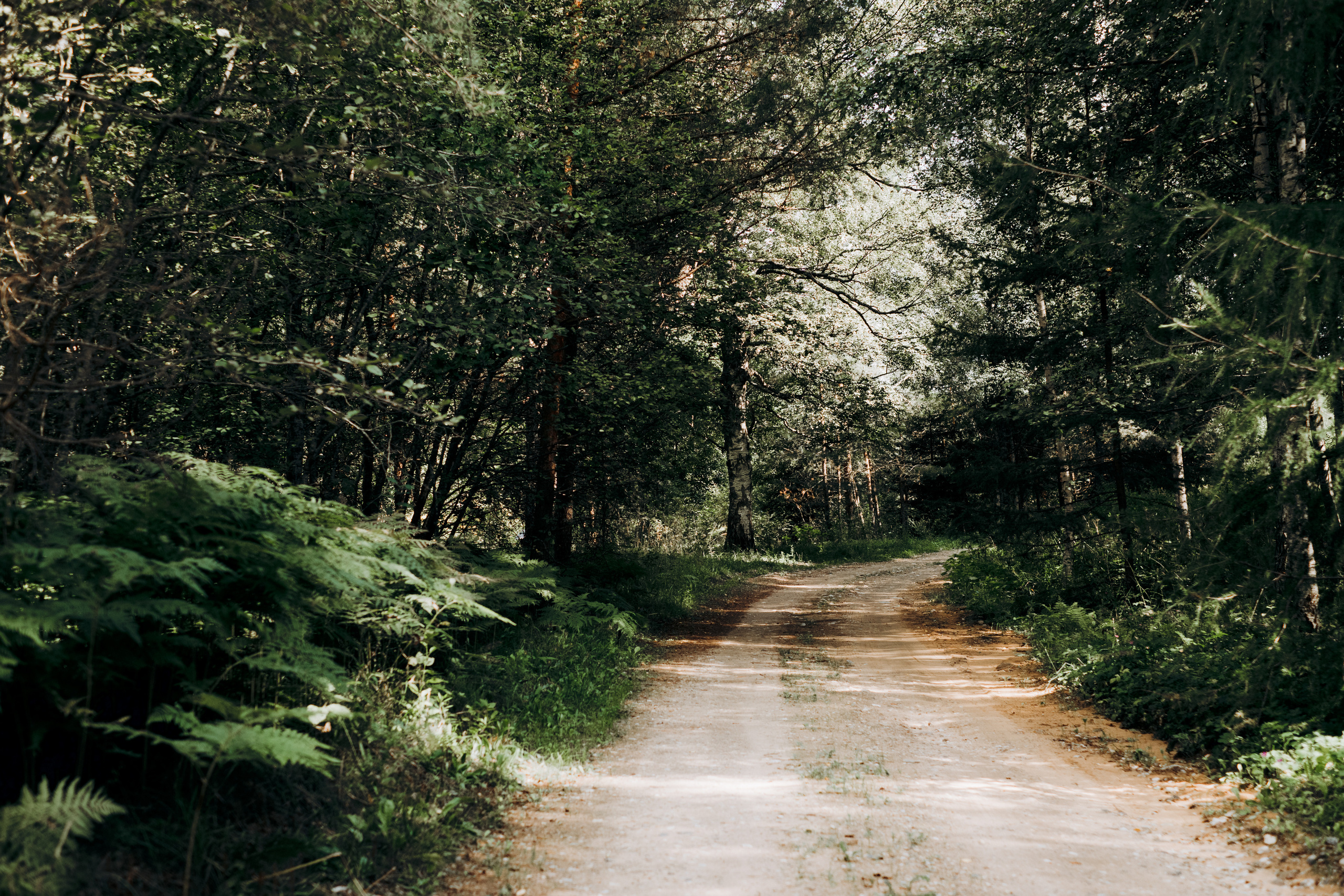 Viesu nams siltumnica deko