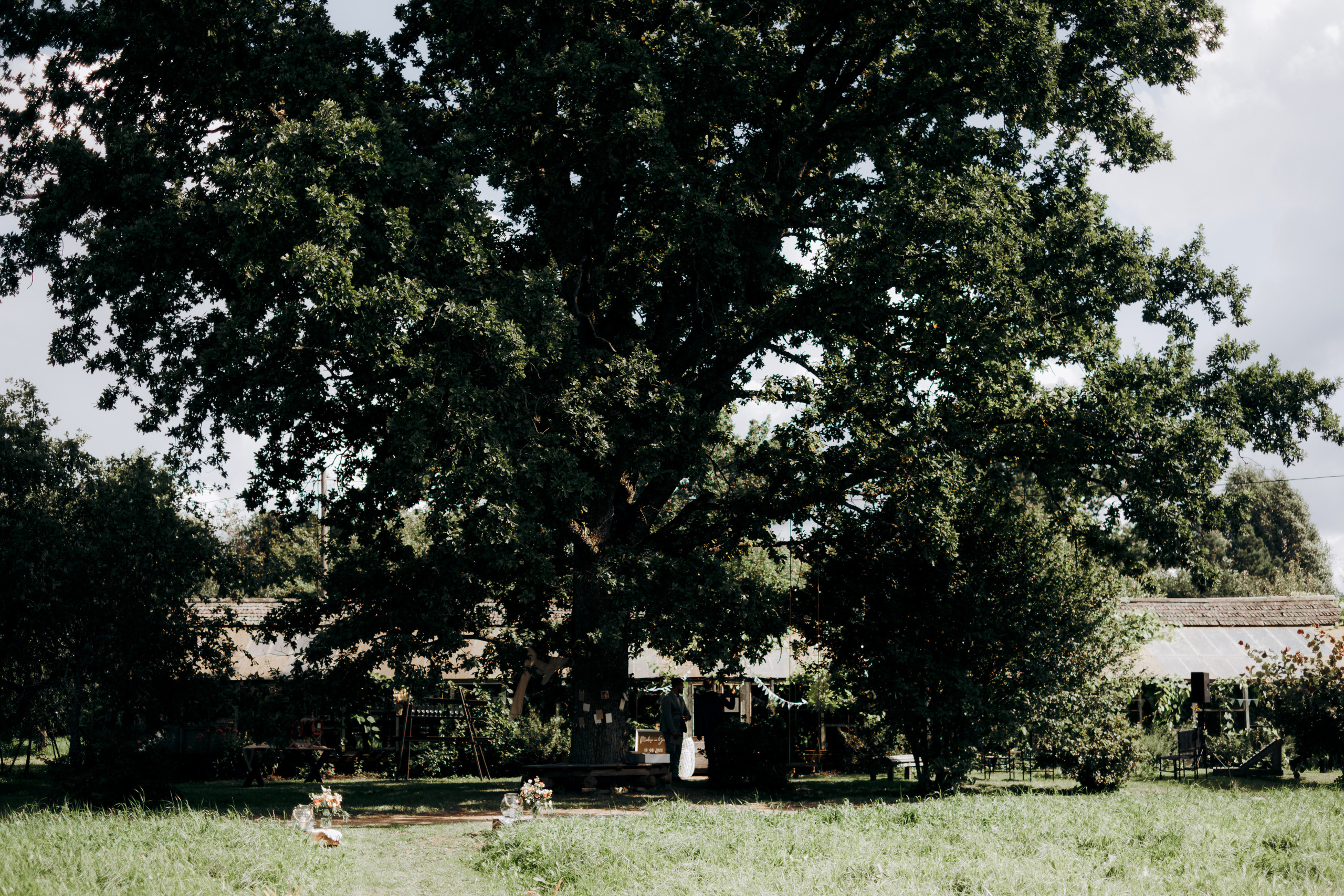 Kāzu foto stāsts Valmierā - Viesu nams Siltumnīca | Madara un Gvido. Kāzu × Ģimenes notikumu fotografs Edgars Kalniņš