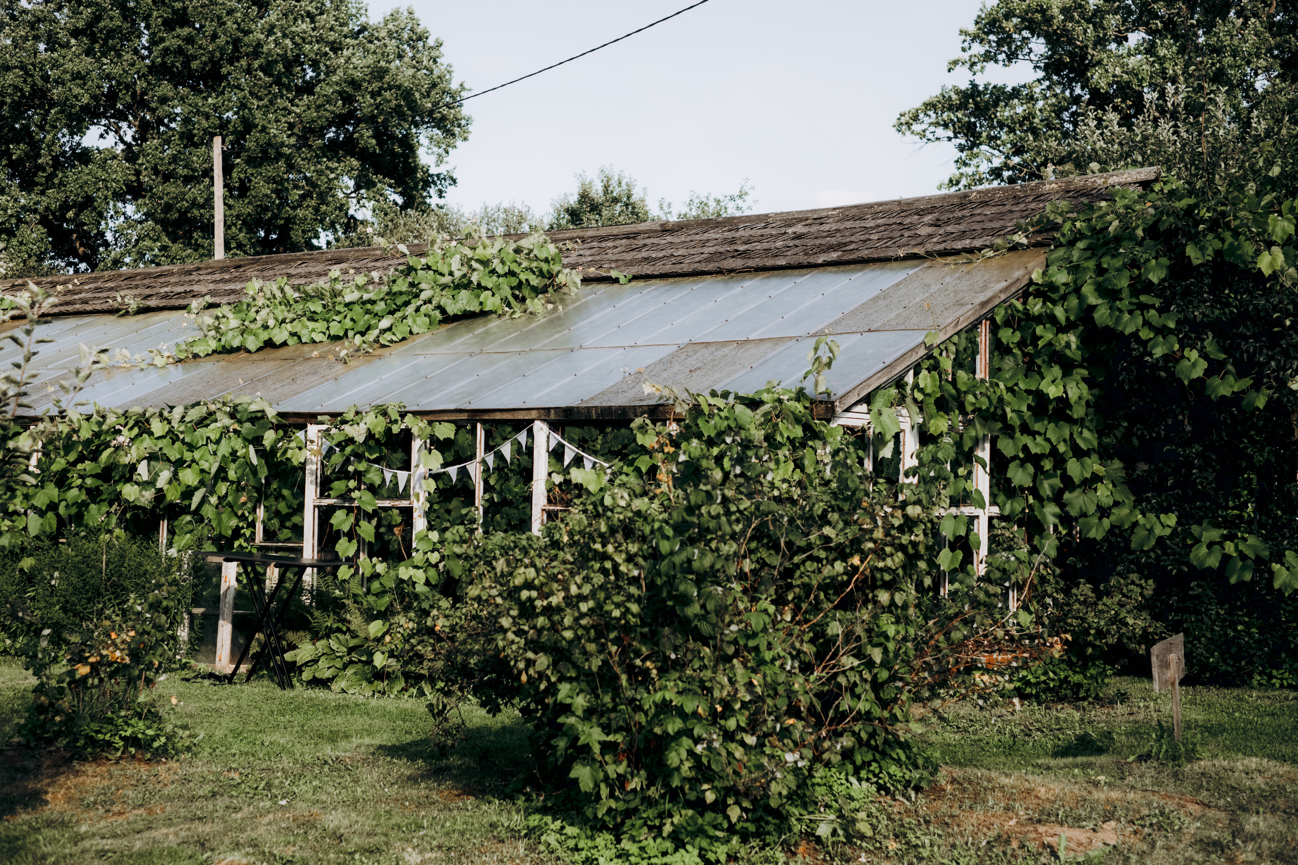 Kāzu foto stāsts Valmierā - Viesu nams Siltumnīca | Madara un Gvido. Kāzu × Ģimenes notikumu fotografs Edgars Kalniņš