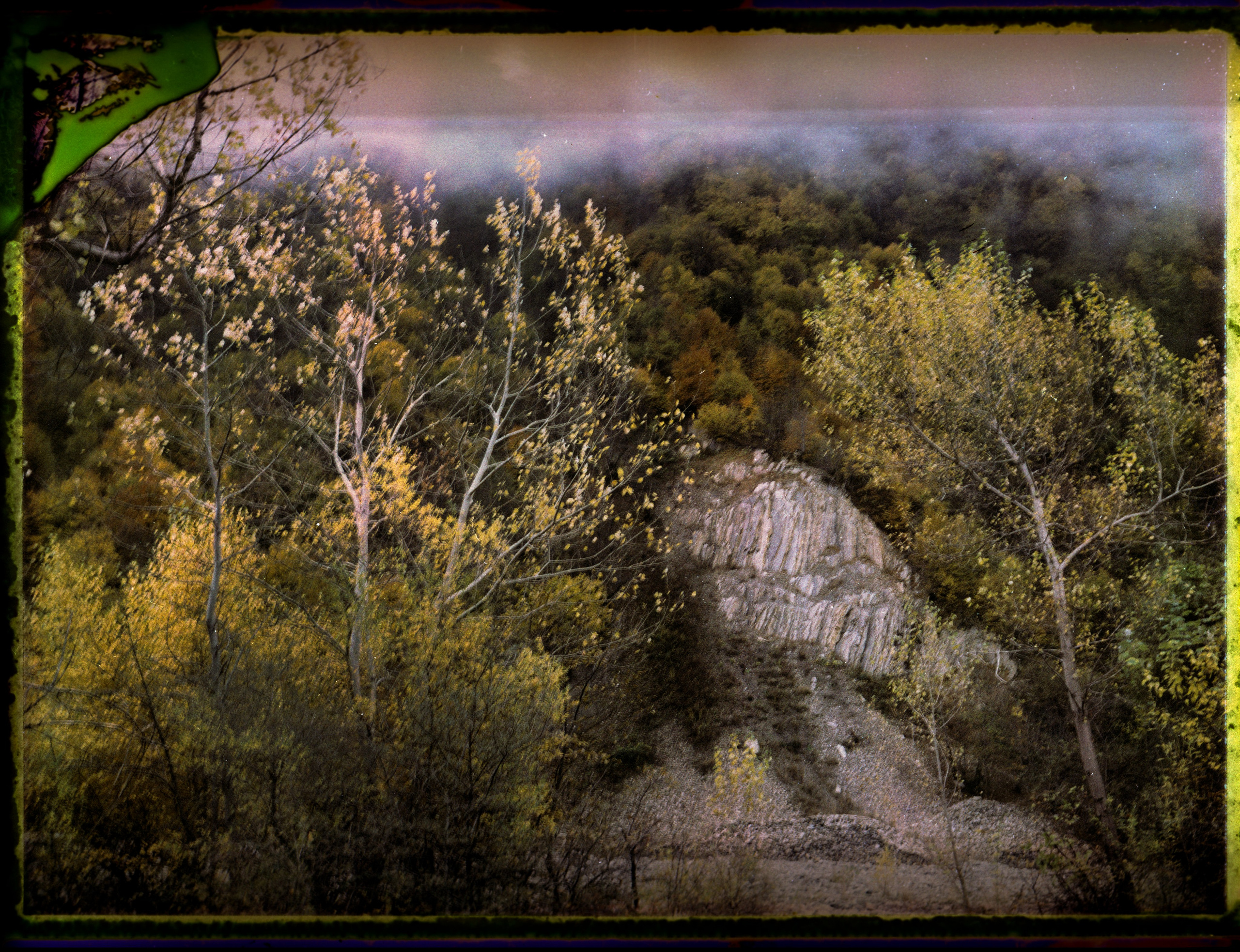 POLAROID. Www.sananaleskerov.com