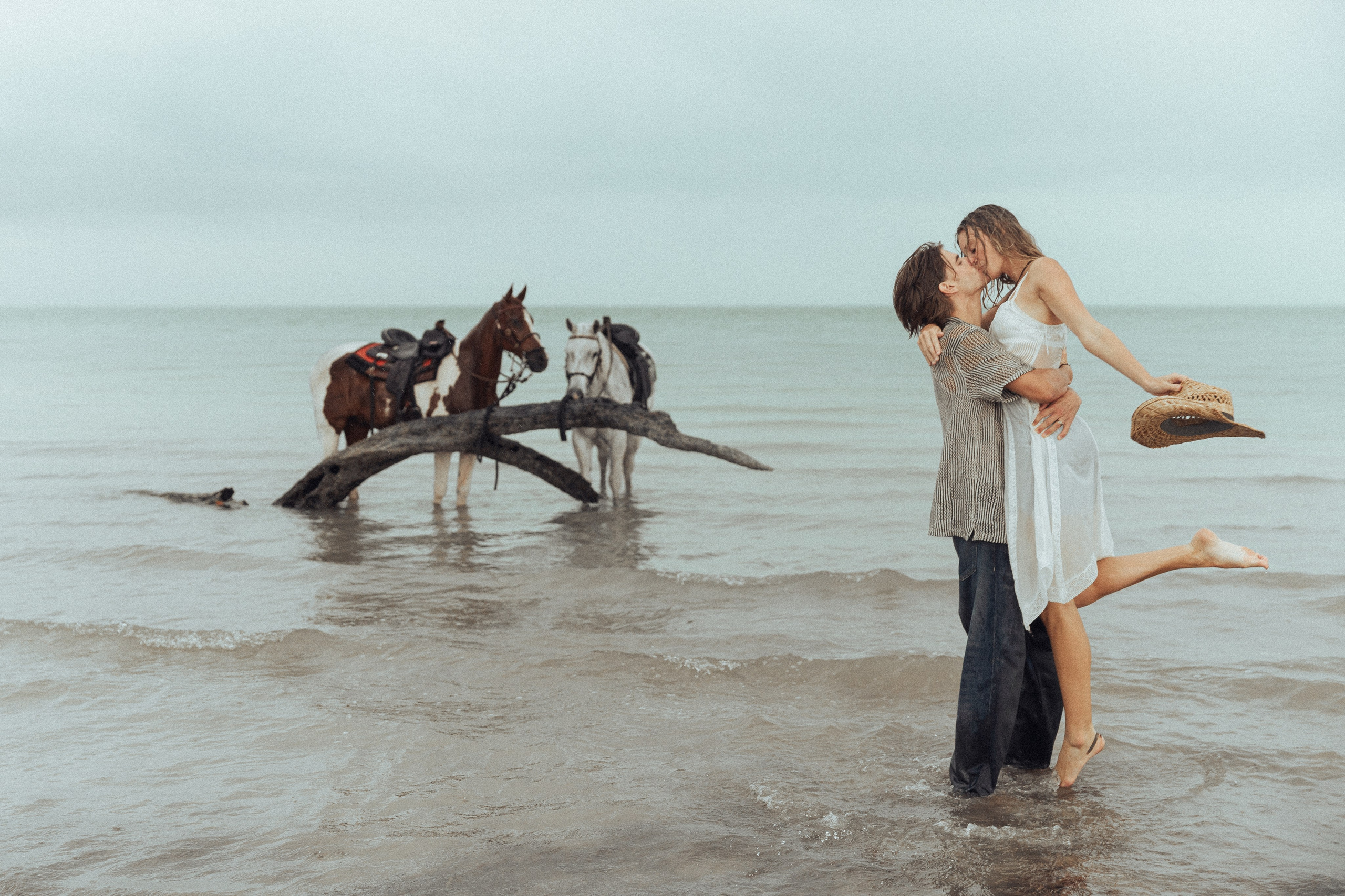 Horse & Rider Photoshoots In Florida