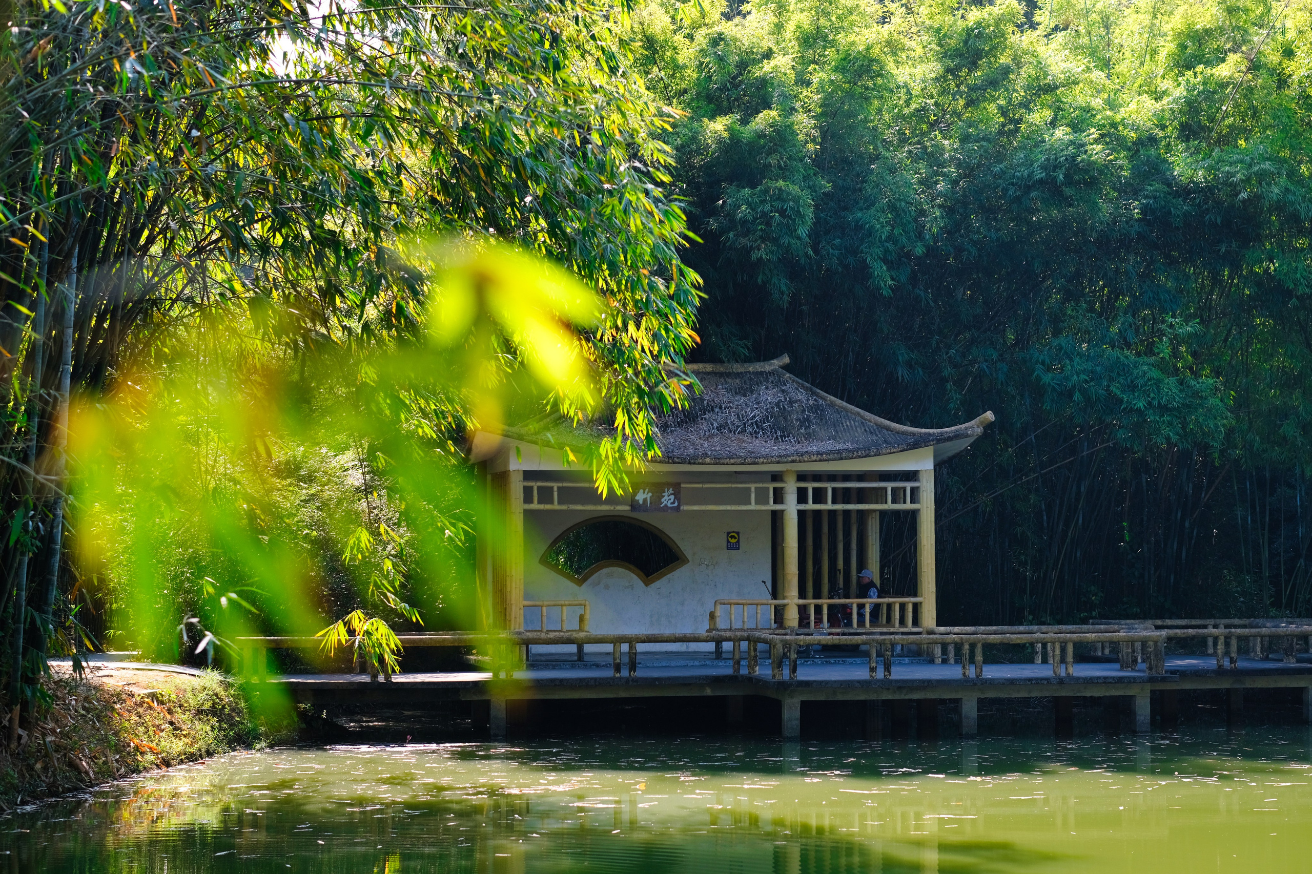 Botanical Garden Guangzhou | 华南国家植物园 🇨🇳 | China