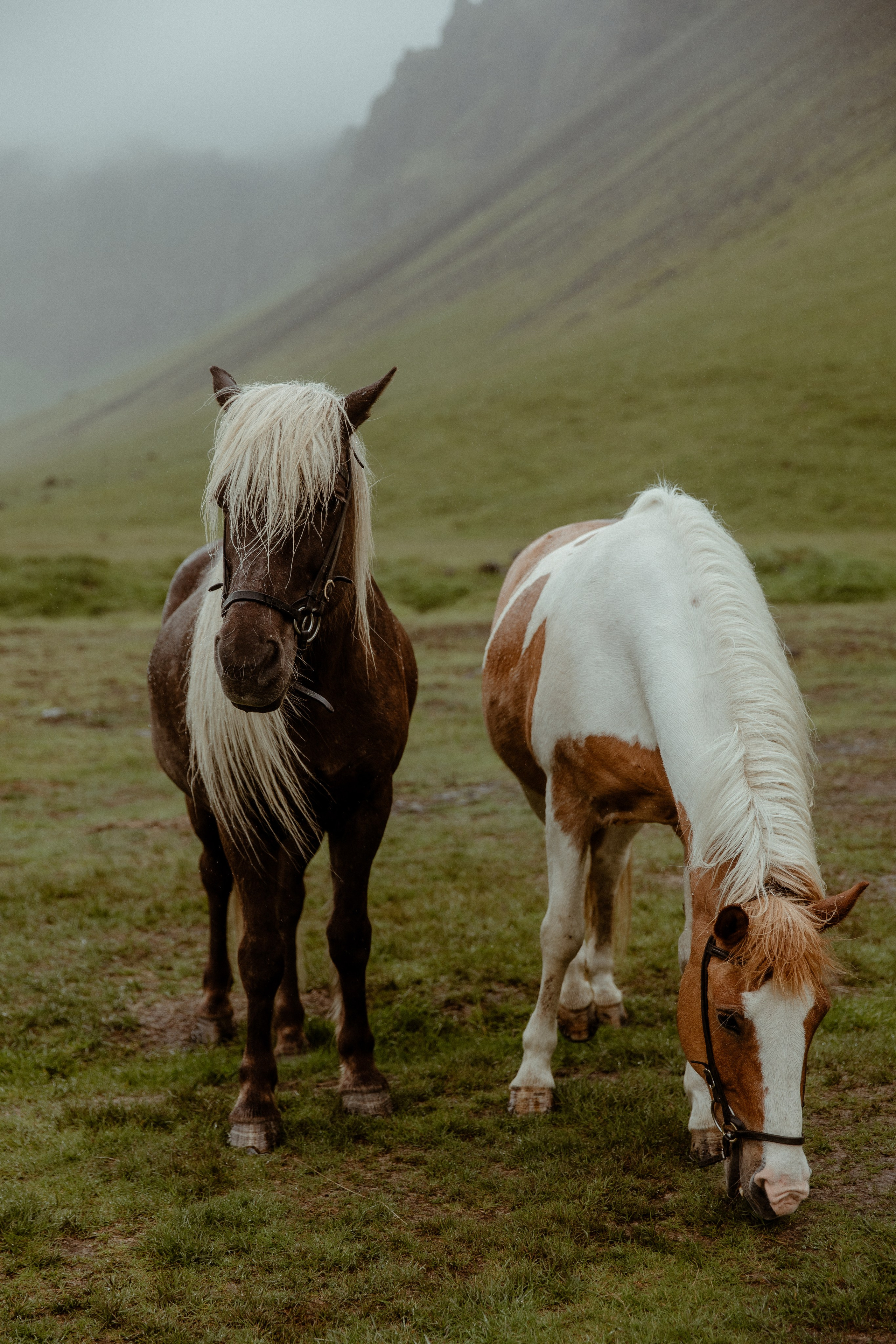 Elopement at Kvernufoss Waterfall. Iceland elopement photographer & videographer