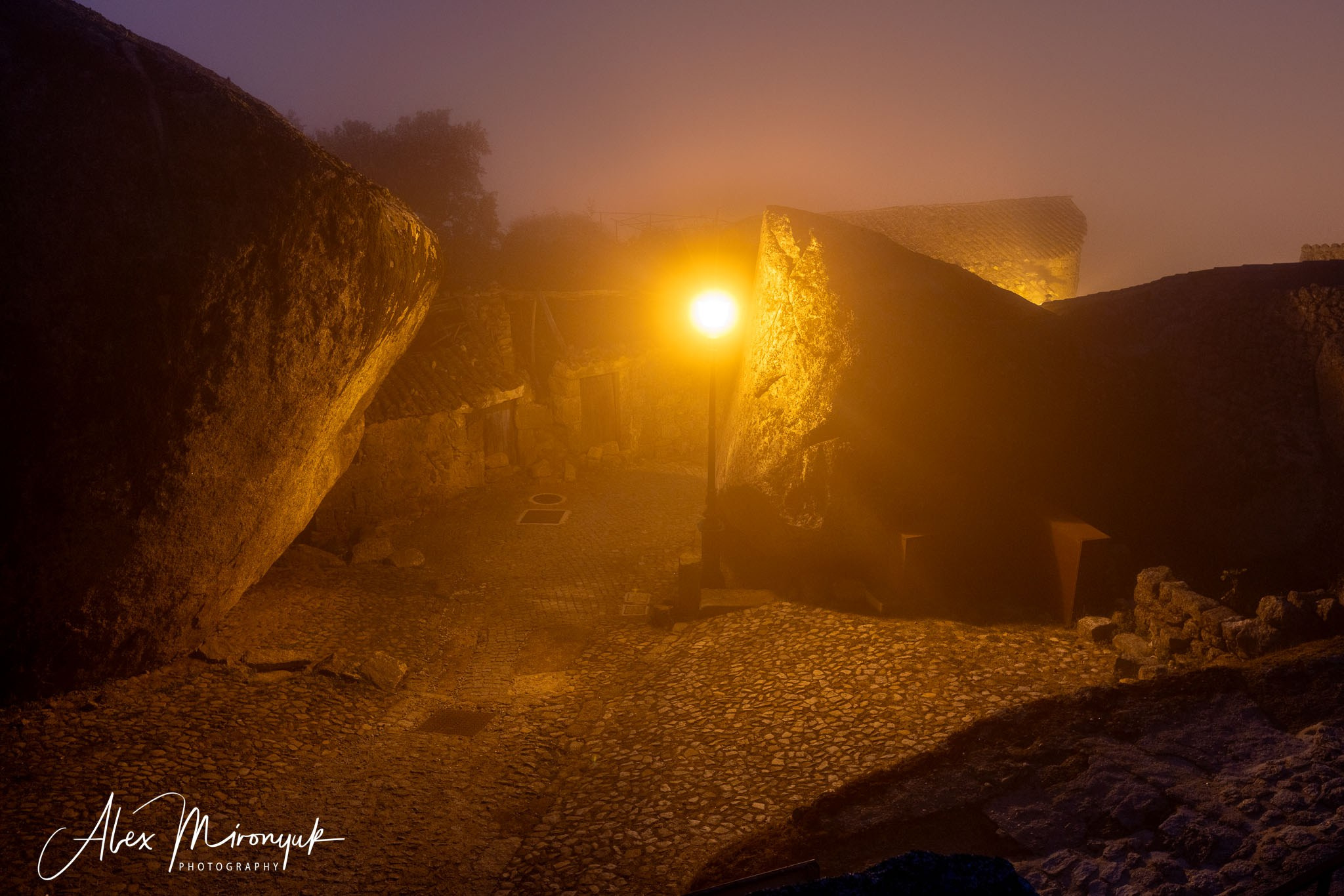 Portugal’s Scenic Treasures. Pet, Senior, Landscape, portrait studio, photographer in Miami and Sou